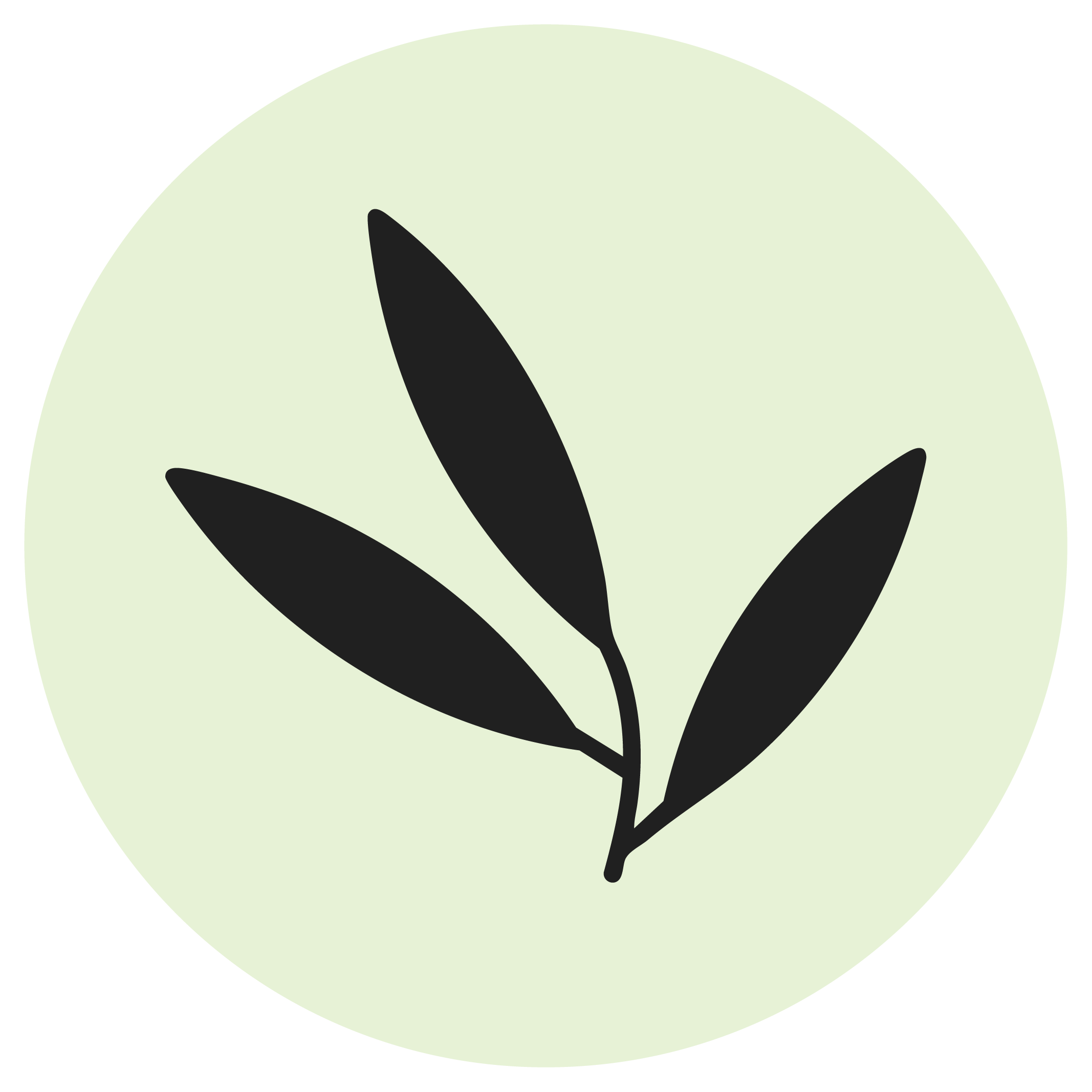 The Willow Psychotherapy Group Logo