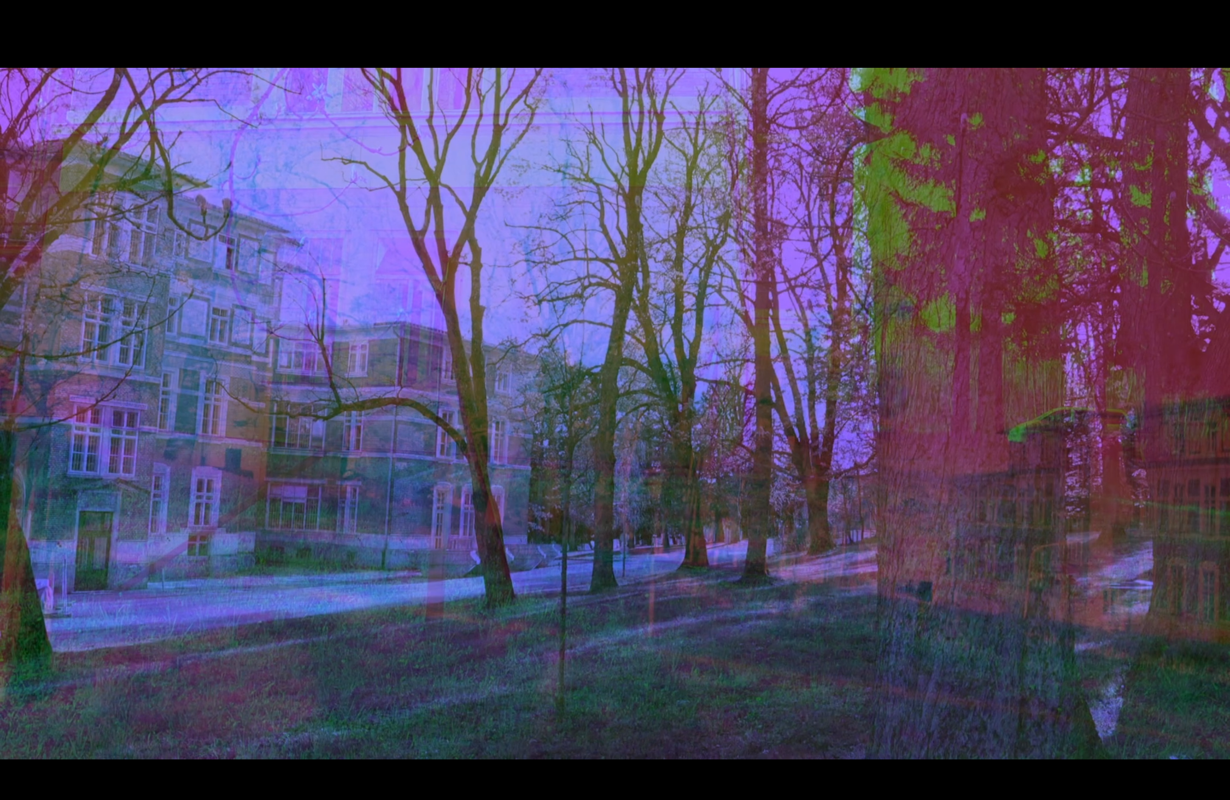 Bildschirmfoto 2026-05-18 um 11.02.20.png