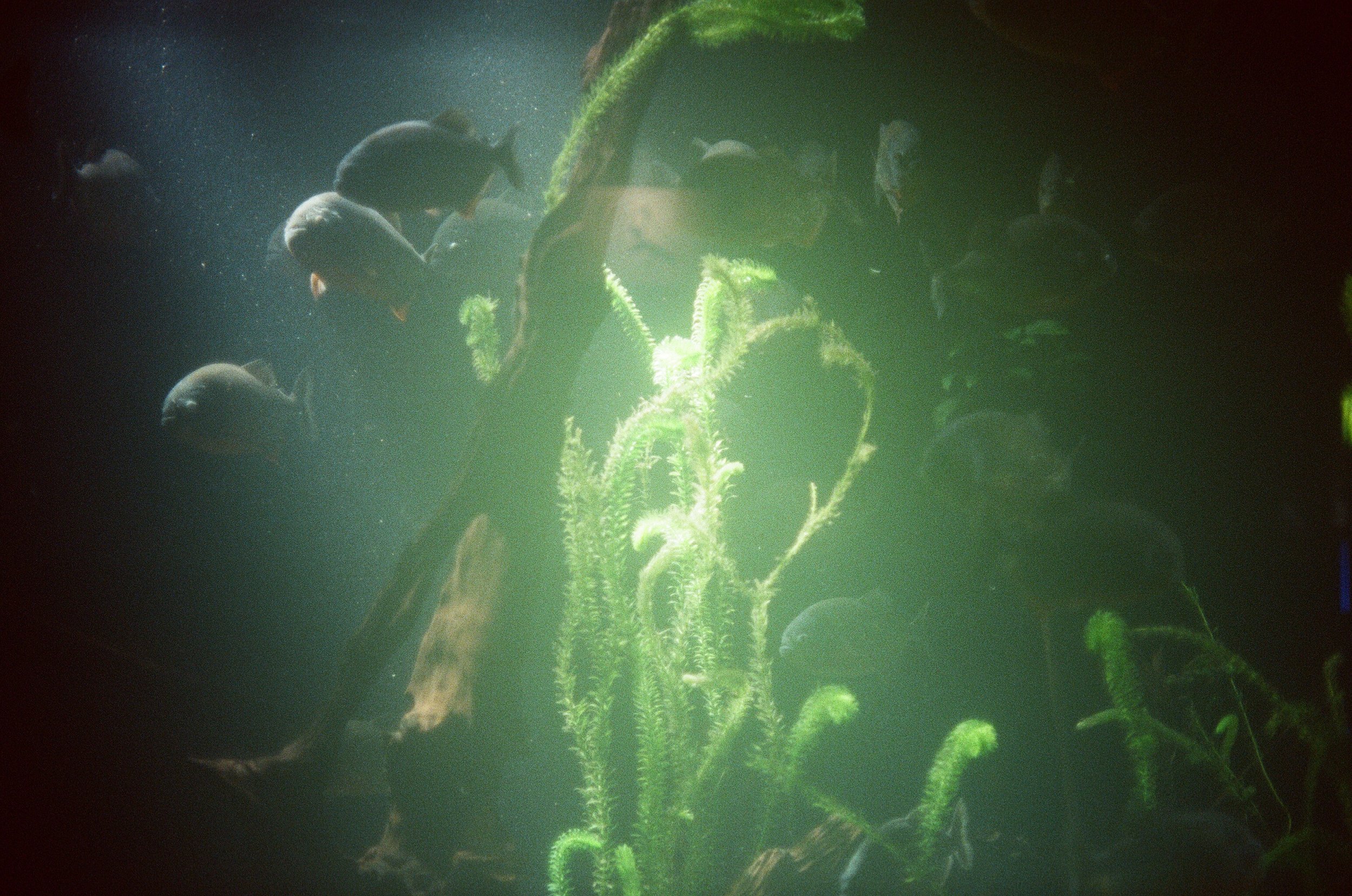 ANDARE VIA