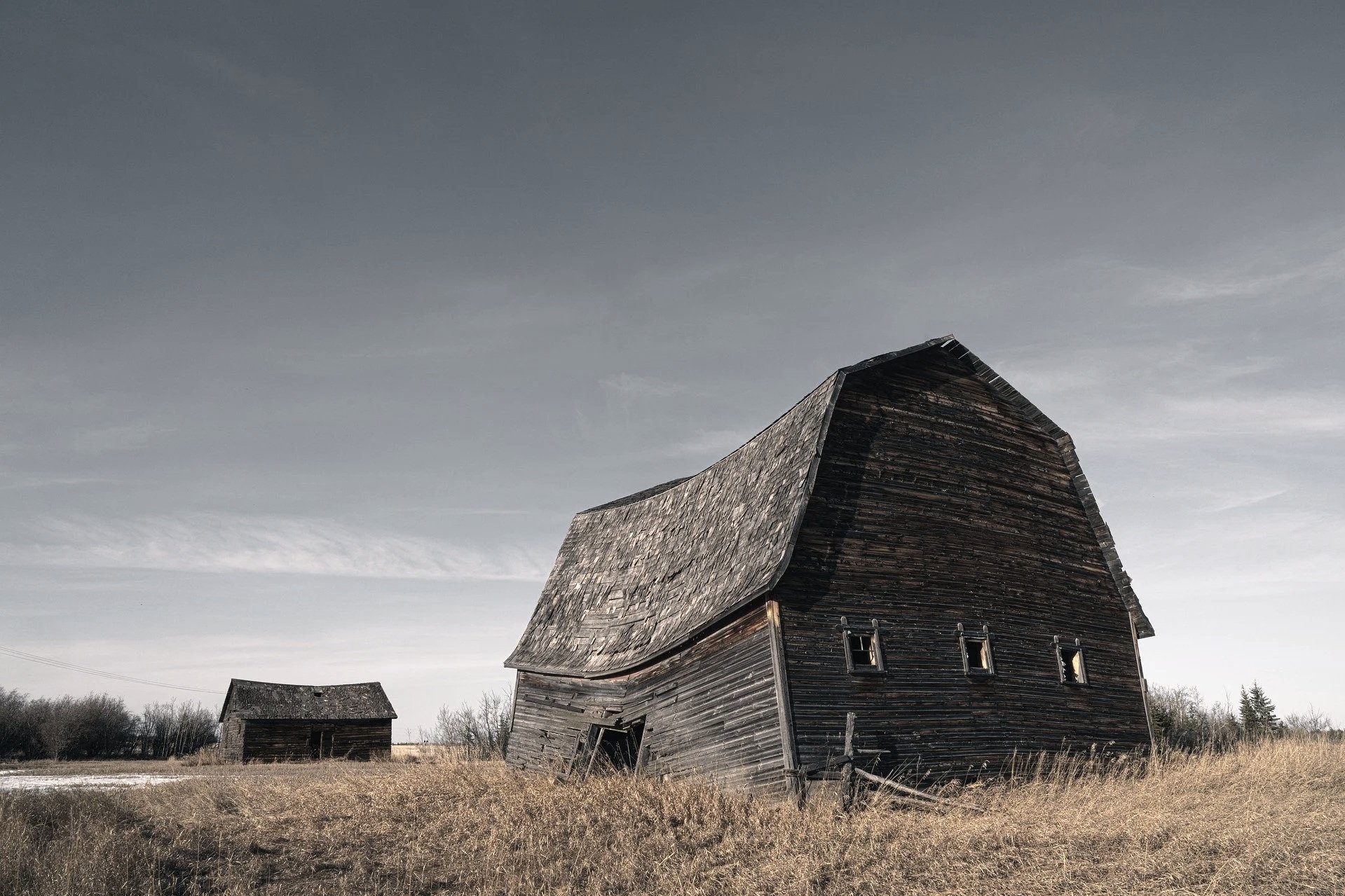 Old barn from The Gold Ring cover image