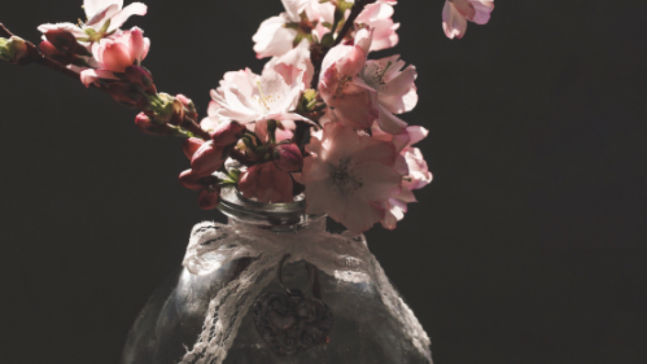 Spring is Here!