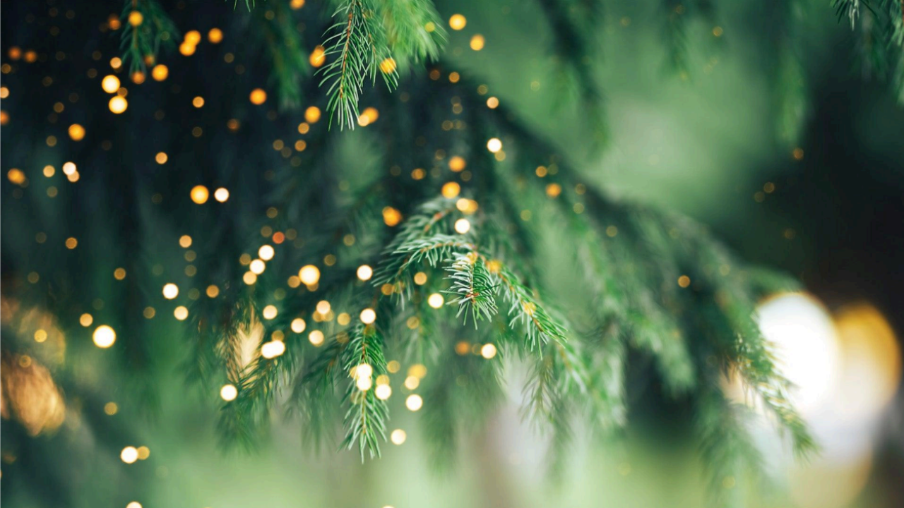 Building a Gentler Holiday Season for Your Mind and Body