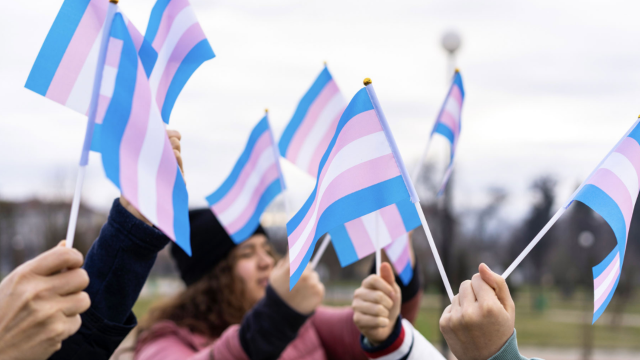 Transgender Allyship: Showing Up for the Community