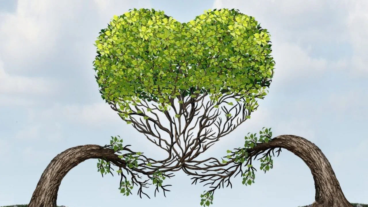 Healthy Relationships Matter for Your Mental Health