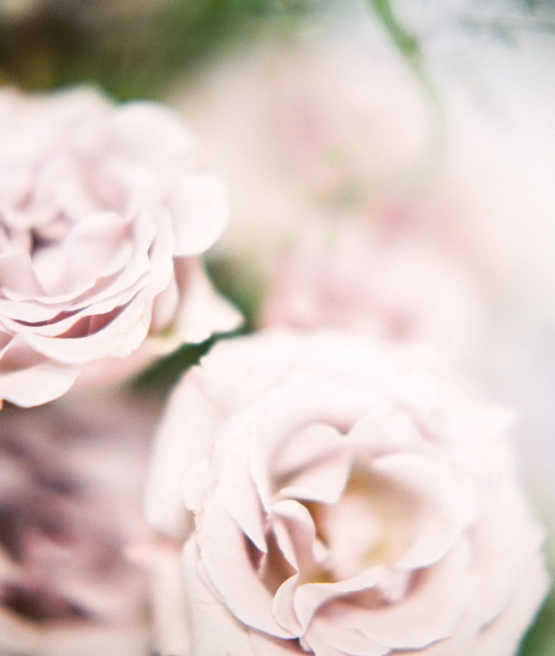 Spring+Lake+Michigan+Wedding+Planner+-+Michigan+and+Beyond+Luxury+Wedding+and+Floral+Design+8.jpg