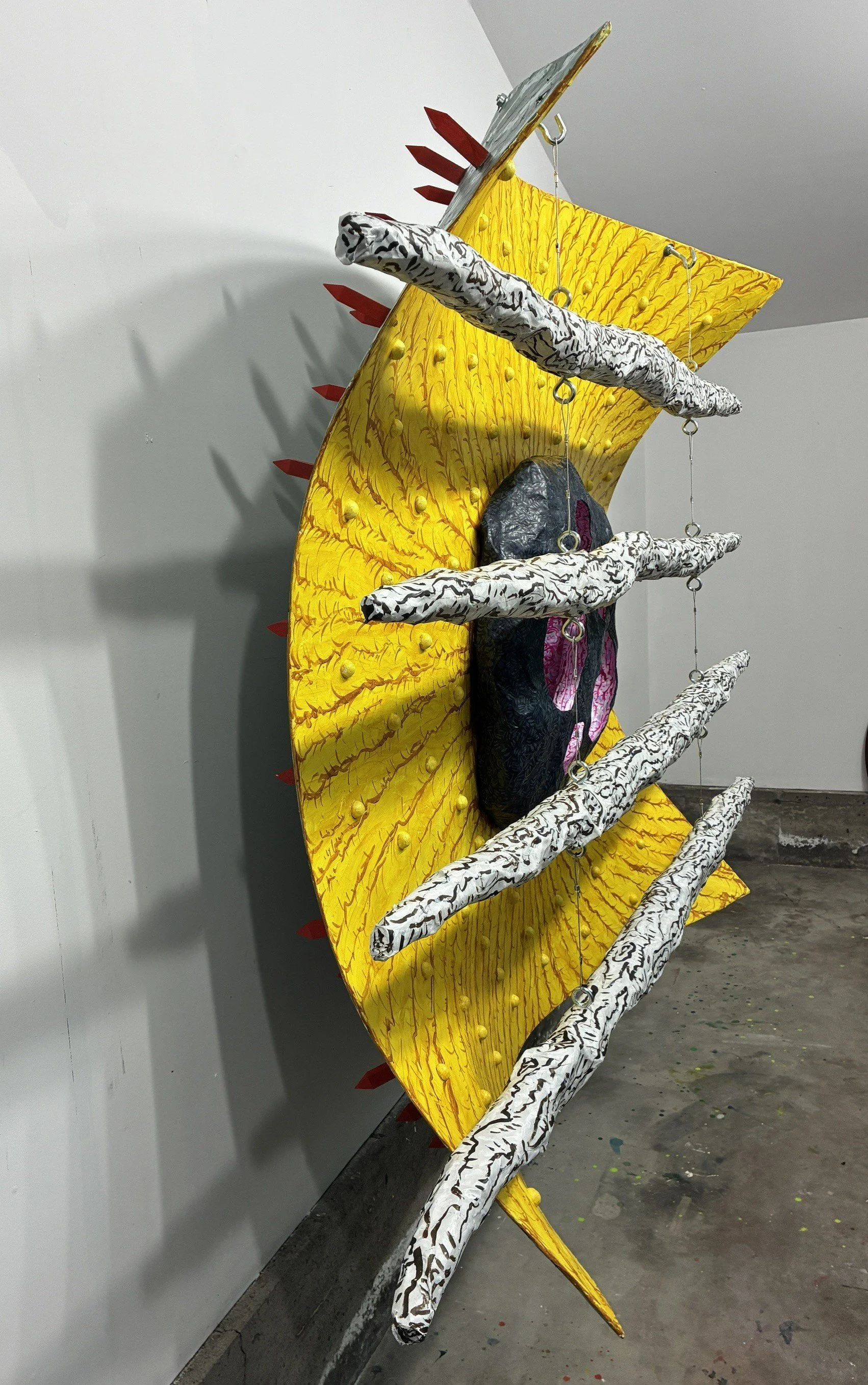 field 1.jpg