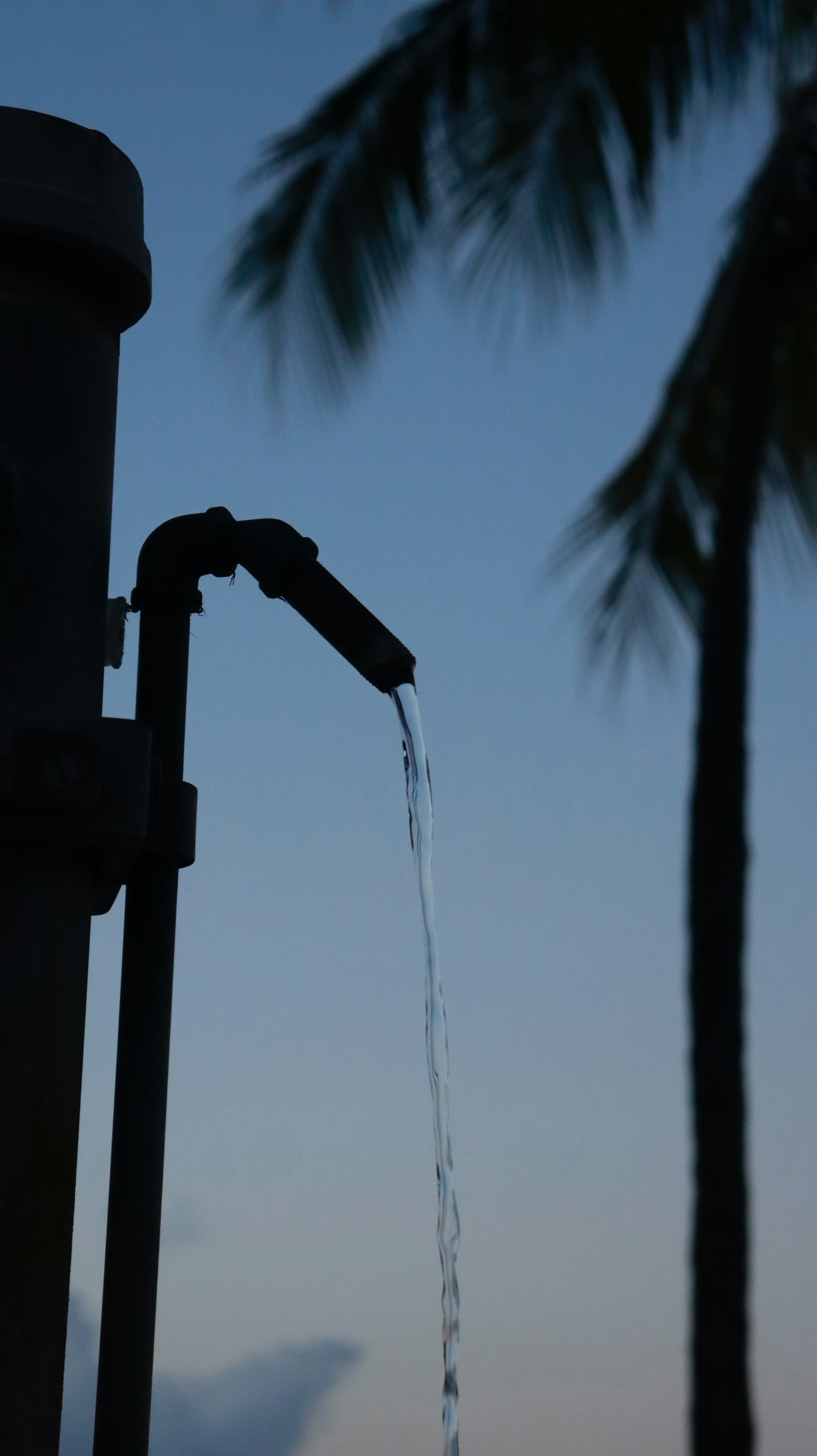 Water flowing from a pipe at dusk, with palm trees in the background.