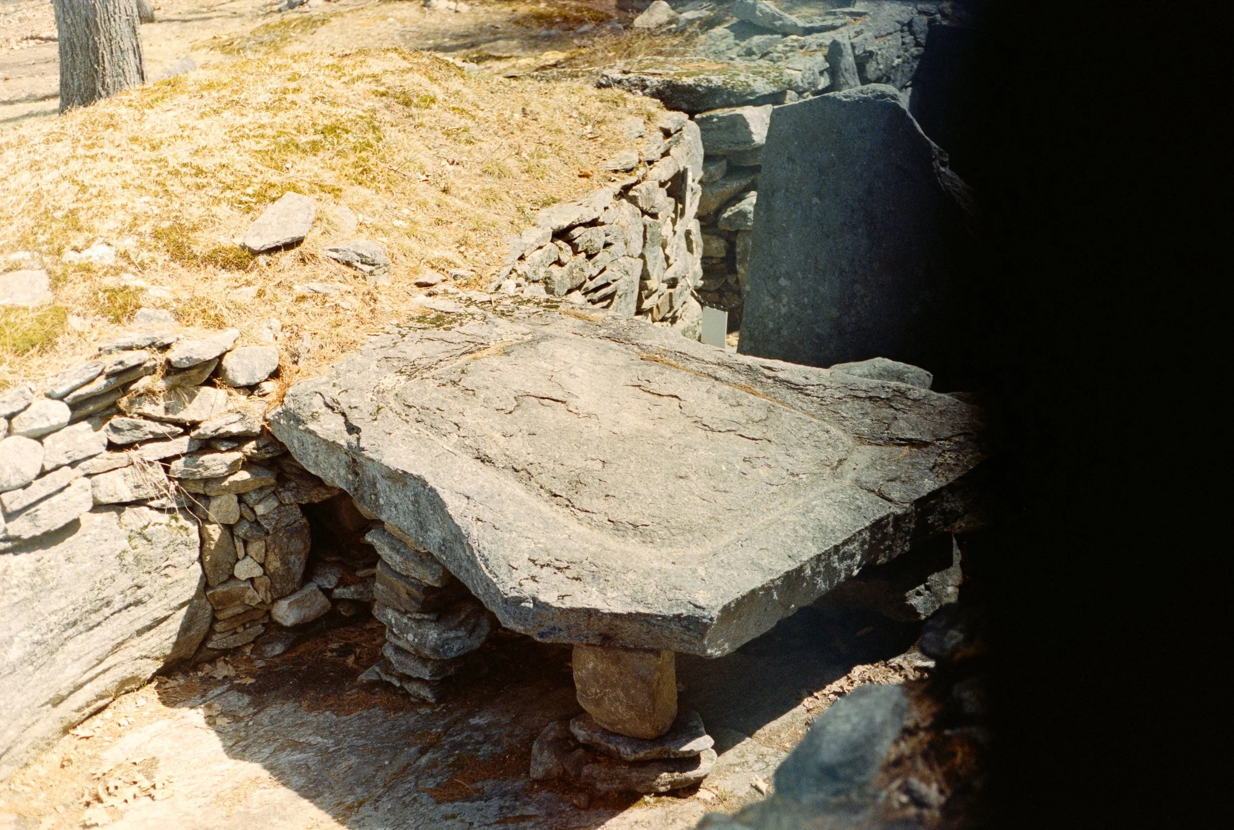 sarah35-24.JPG