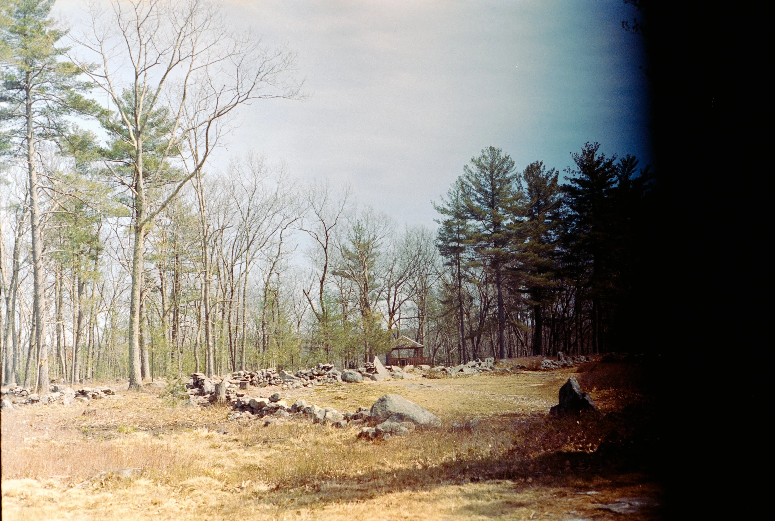 sarah35-19.JPG