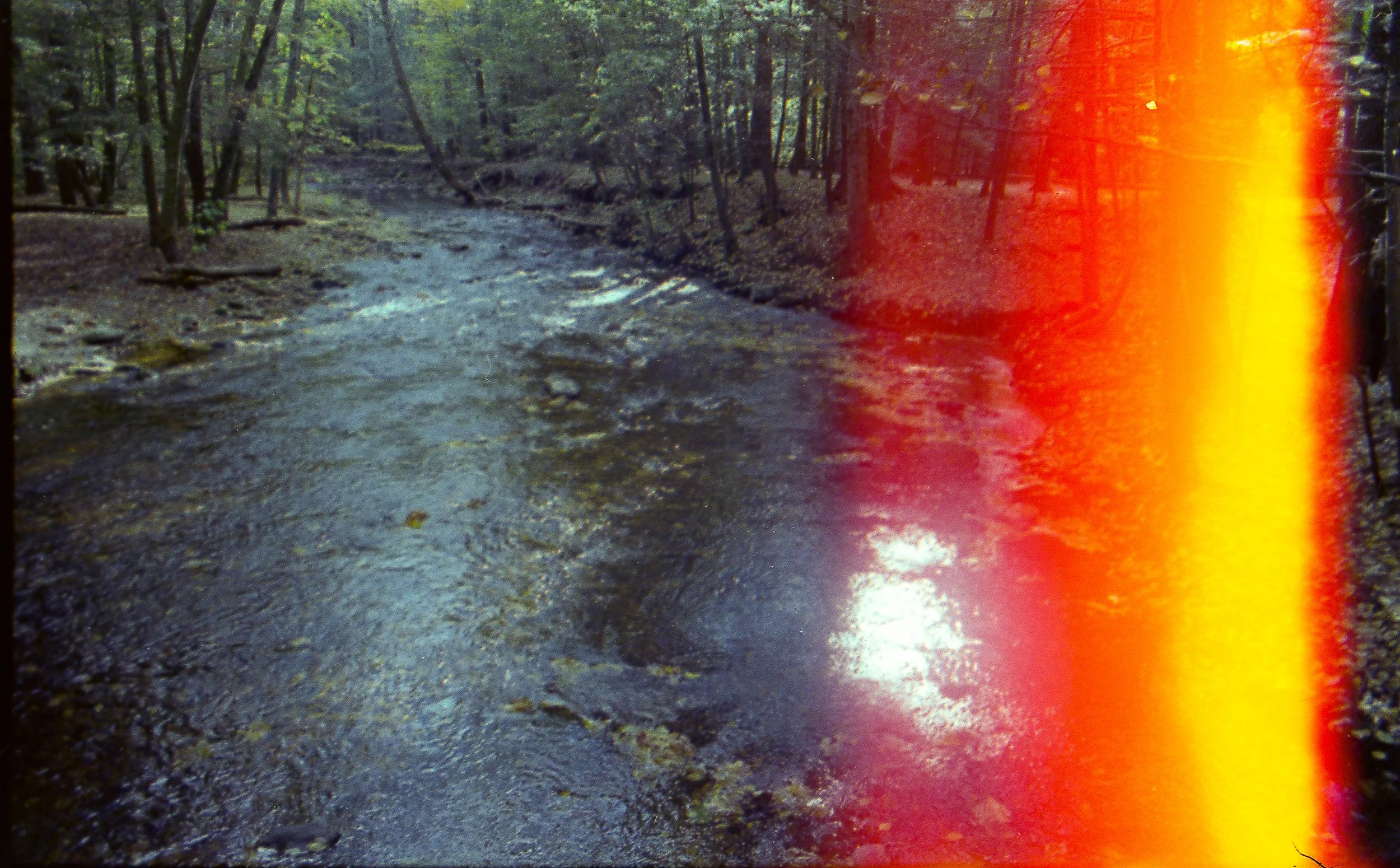 disposable 1028.JPG