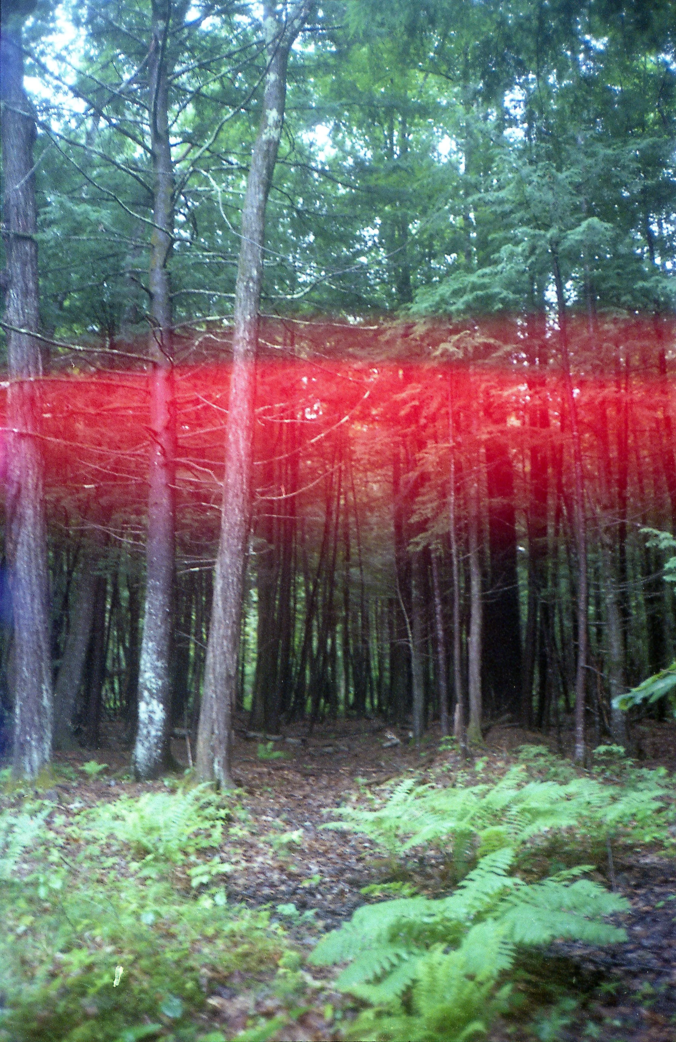fuji-400-s-film-2-013.JPG