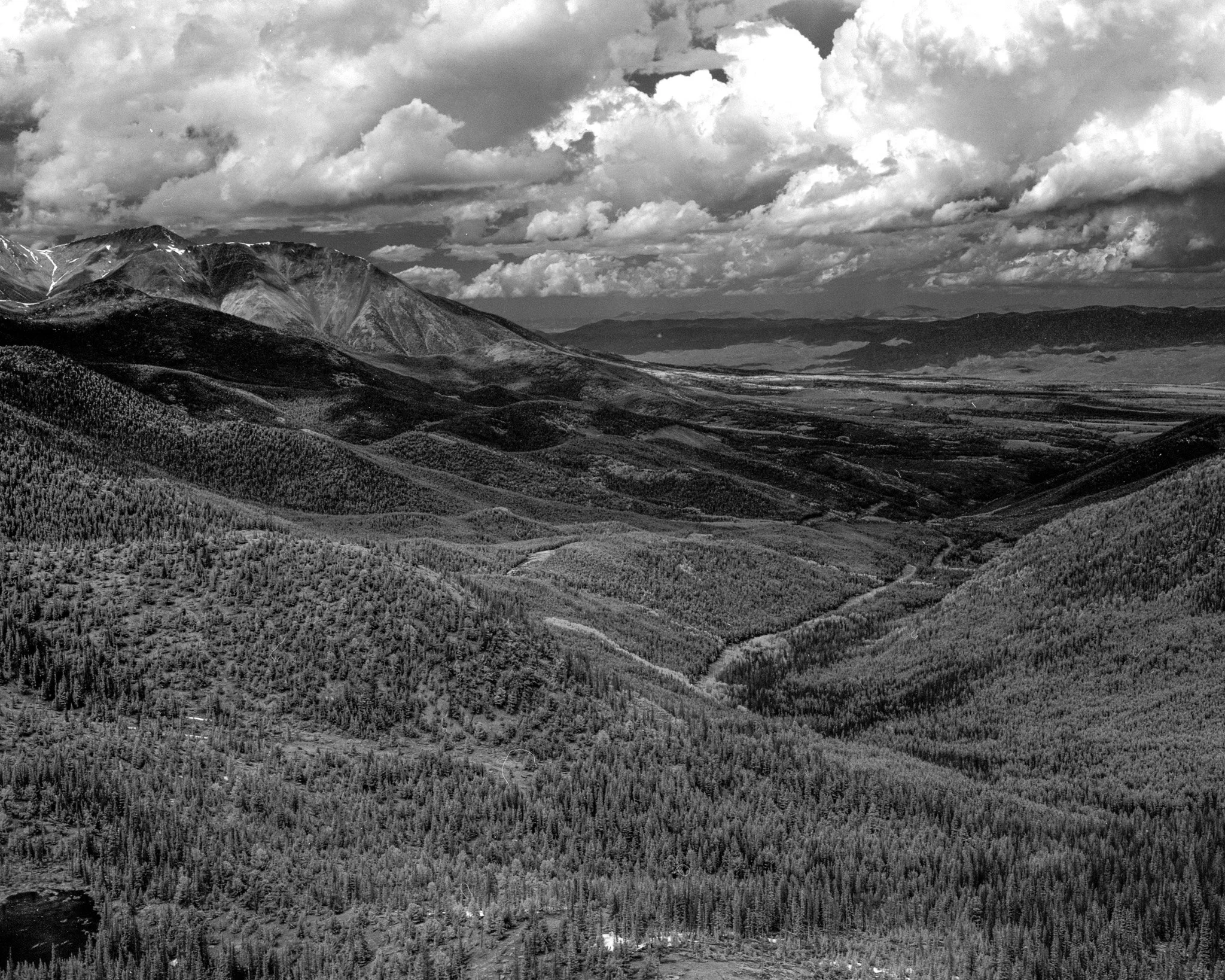 Black and white photograph of a mountainous landscape with a forested area in the foreground, rolling hills, and clouds covering the sky.