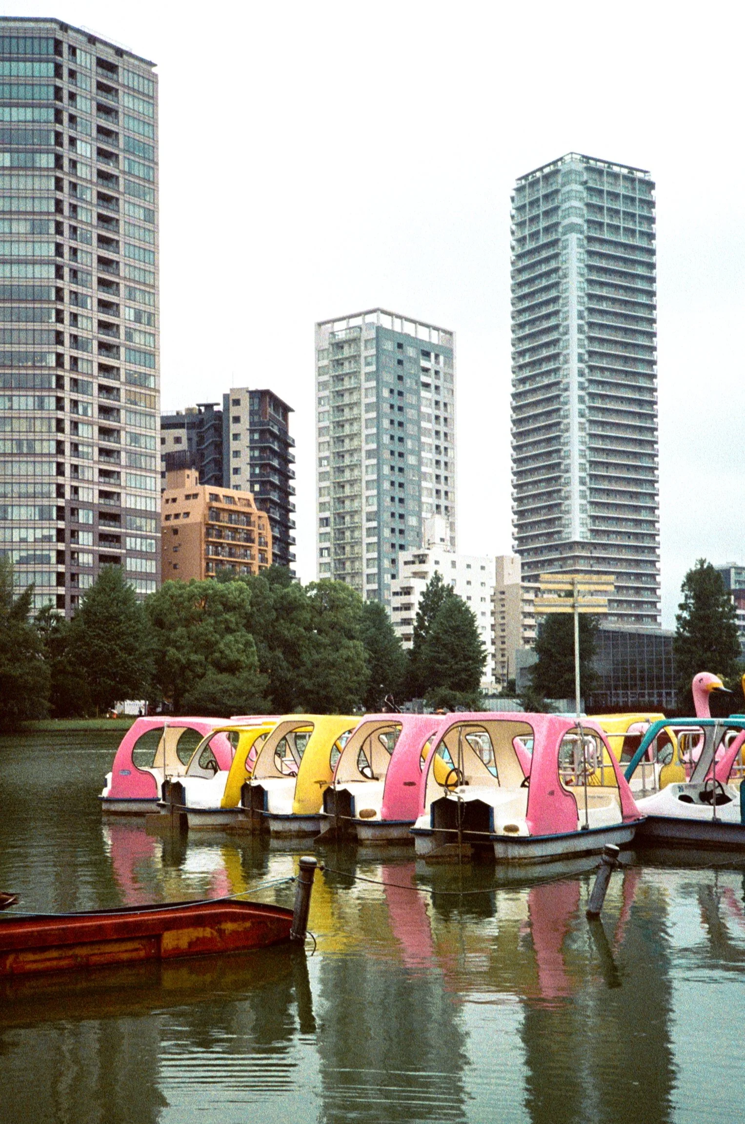 Colorful pedal boats shaped like swans docked on a river with tall modern buildings in the background.