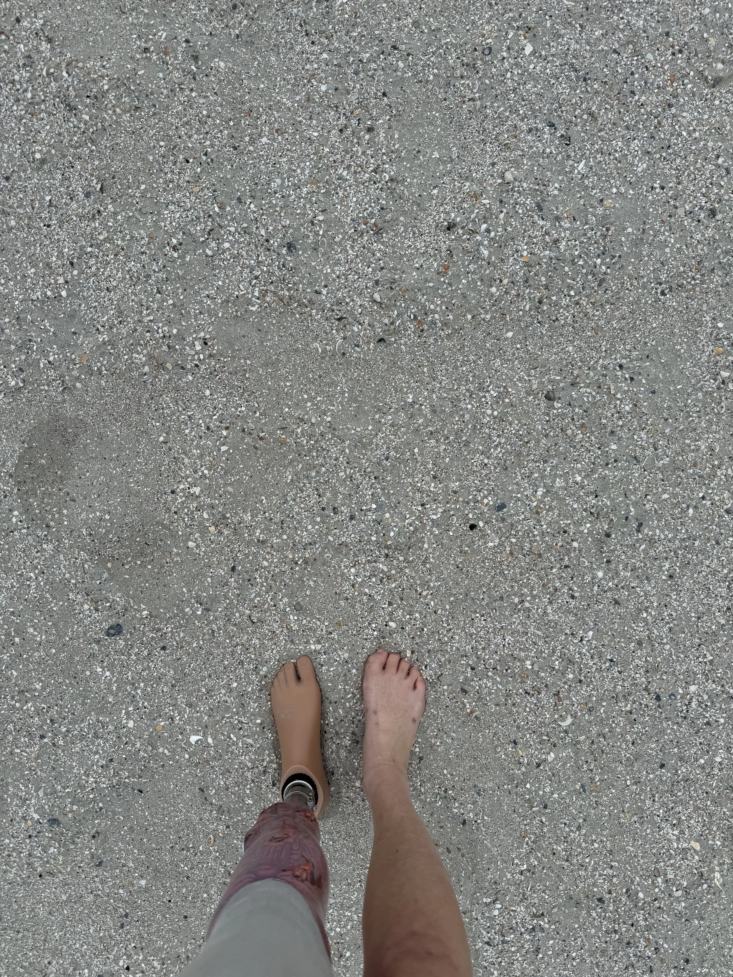 IMG_6917.jpeg