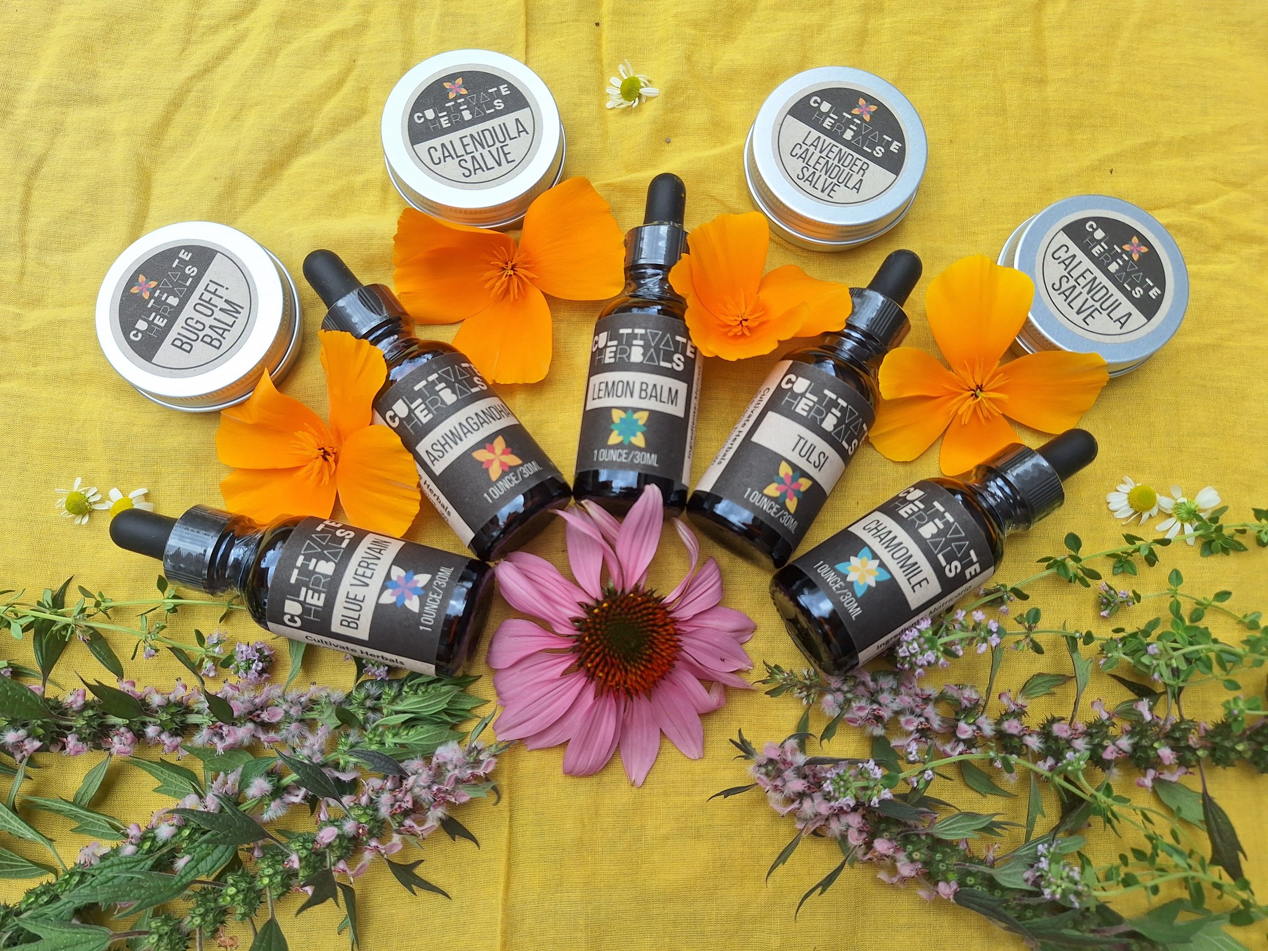 An arrangement of herbs & products including fresh purple coneflower, thyme, motherwort, California poppy, and chamomile flowers, blue vervain, ashwagandha, lemon balm, tulsi, and chamomile tincture bottles, and calendula salve on a yellow background