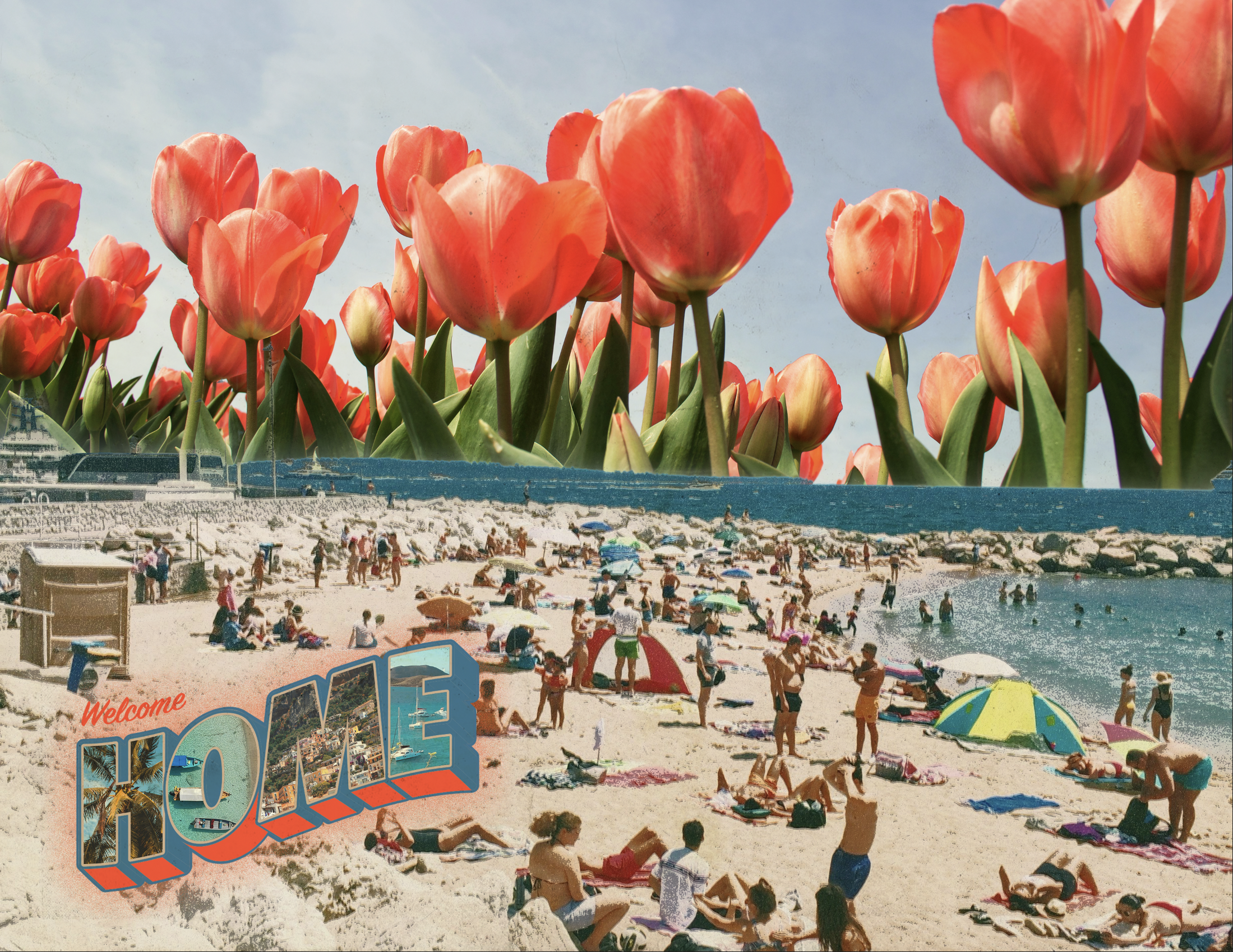 Beach postcard with tulips coming out of horizon 