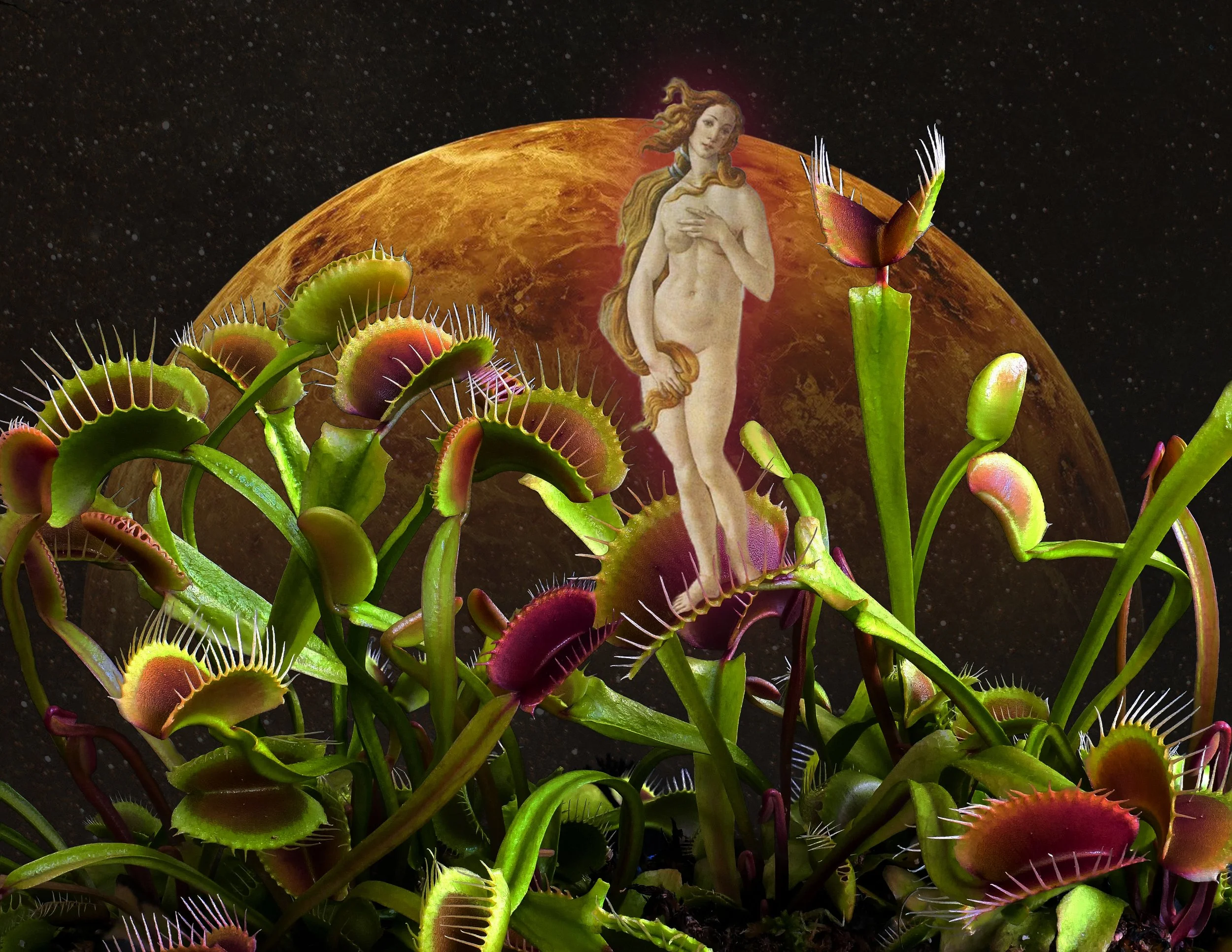 goddes venus in a venus flytrap with planet venus in back