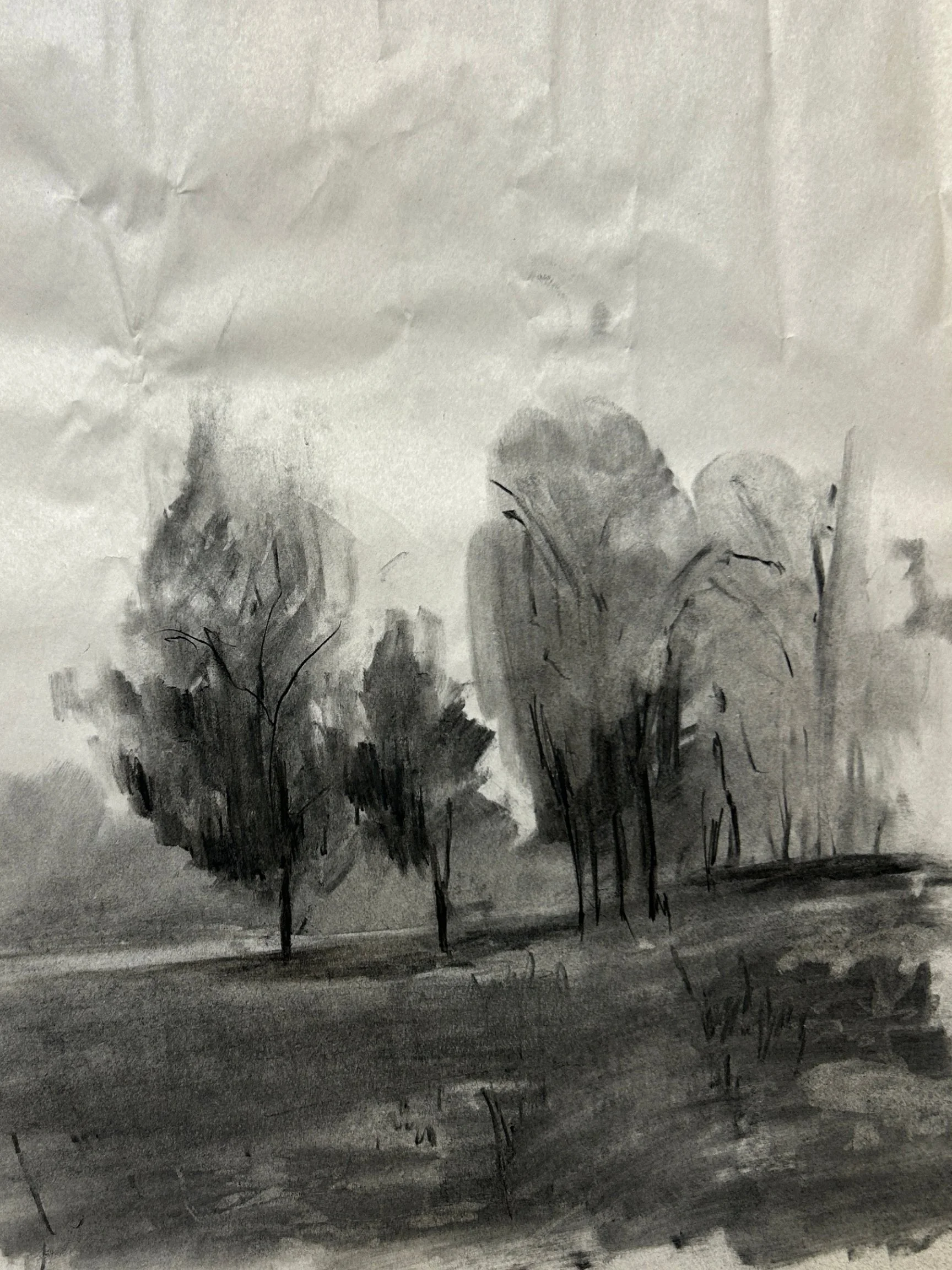 Shadows &amp; Horizons: Charcoal Landscapes