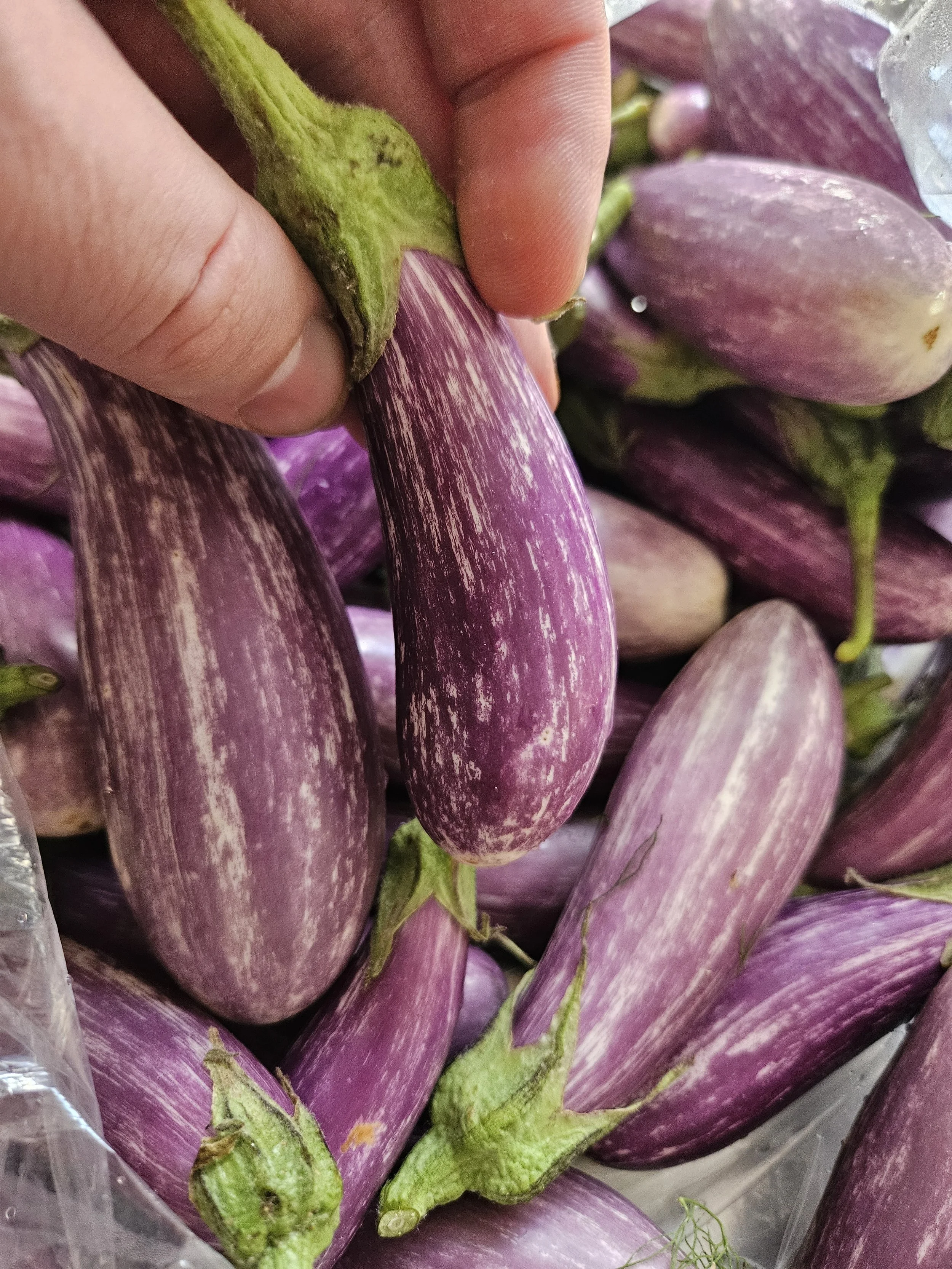 Local fairytale eggplant