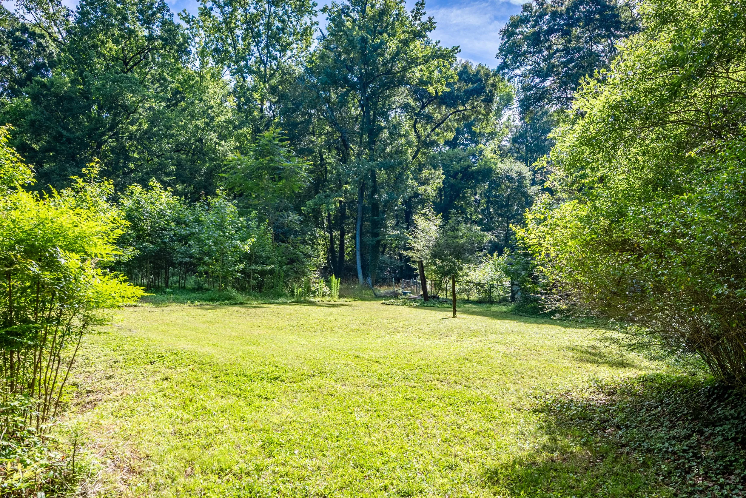 Bright green grassy yard surrounded by trees and bushes, with a clear blue sky overhead.