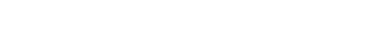 THE FREEMAN AGENCY