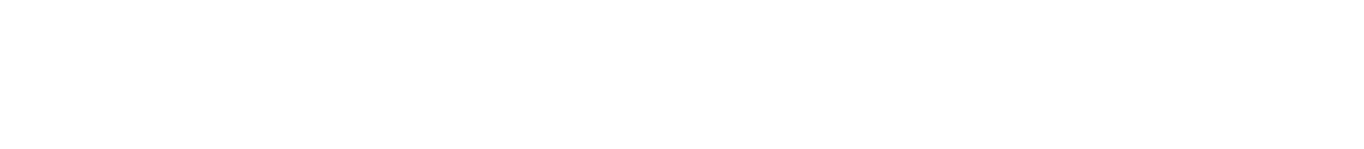 THE FREEMAN AGENCY