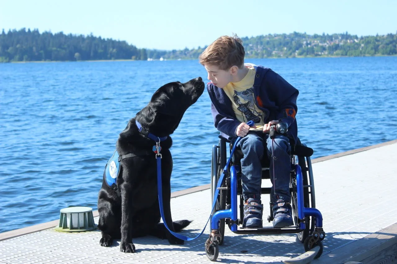 A young boy in a wheelchair and a guide dog face each other on a dock by a lake, with trees and hills in the background.