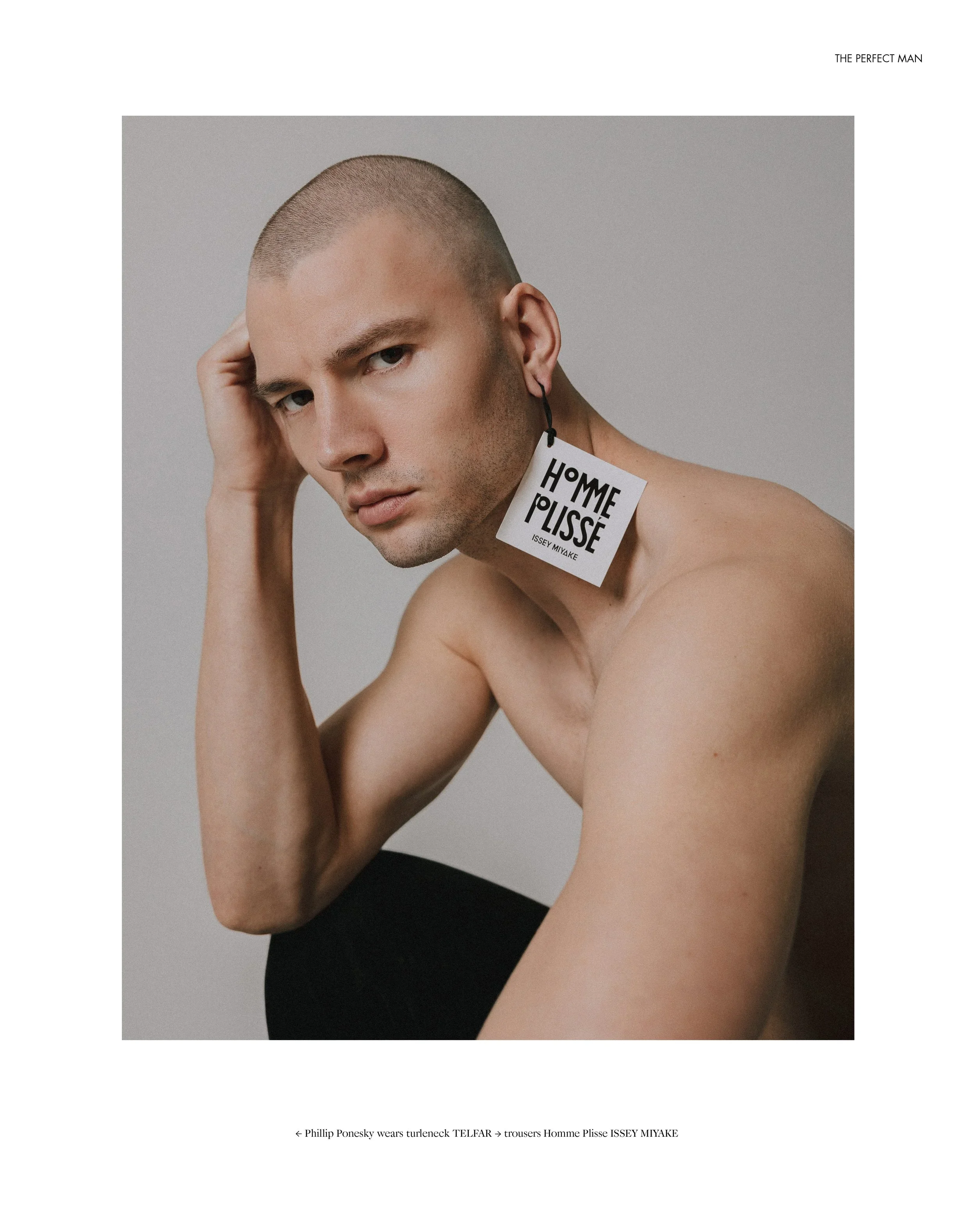 ThePerfectMan-Labeled4.jpg.webp