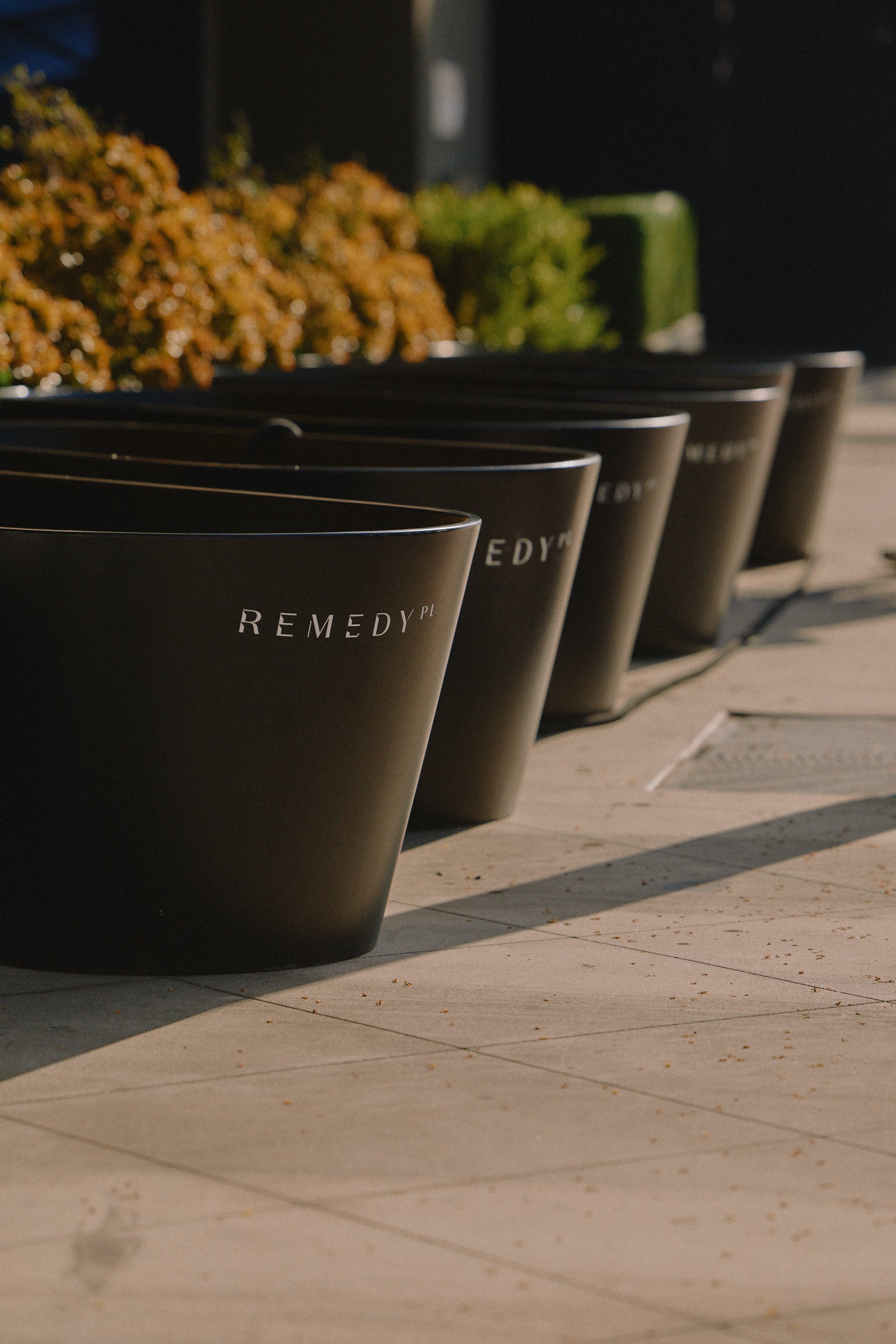 RemedyPl_25-07-26_12.jpg