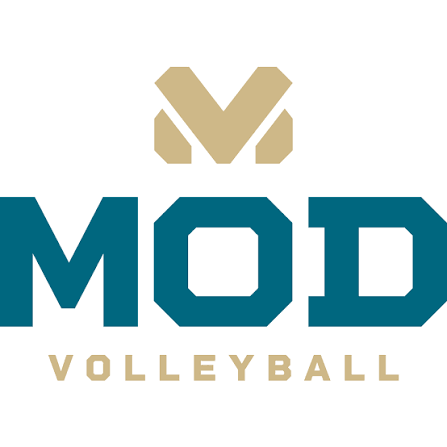 mod volleyball.png