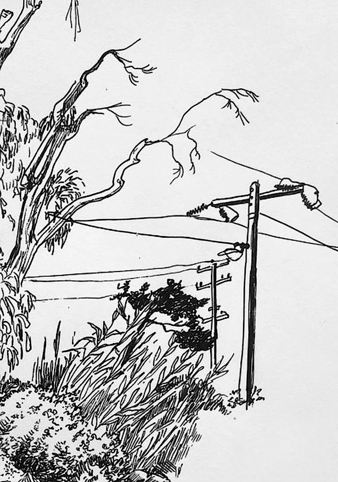 street wires.jpg