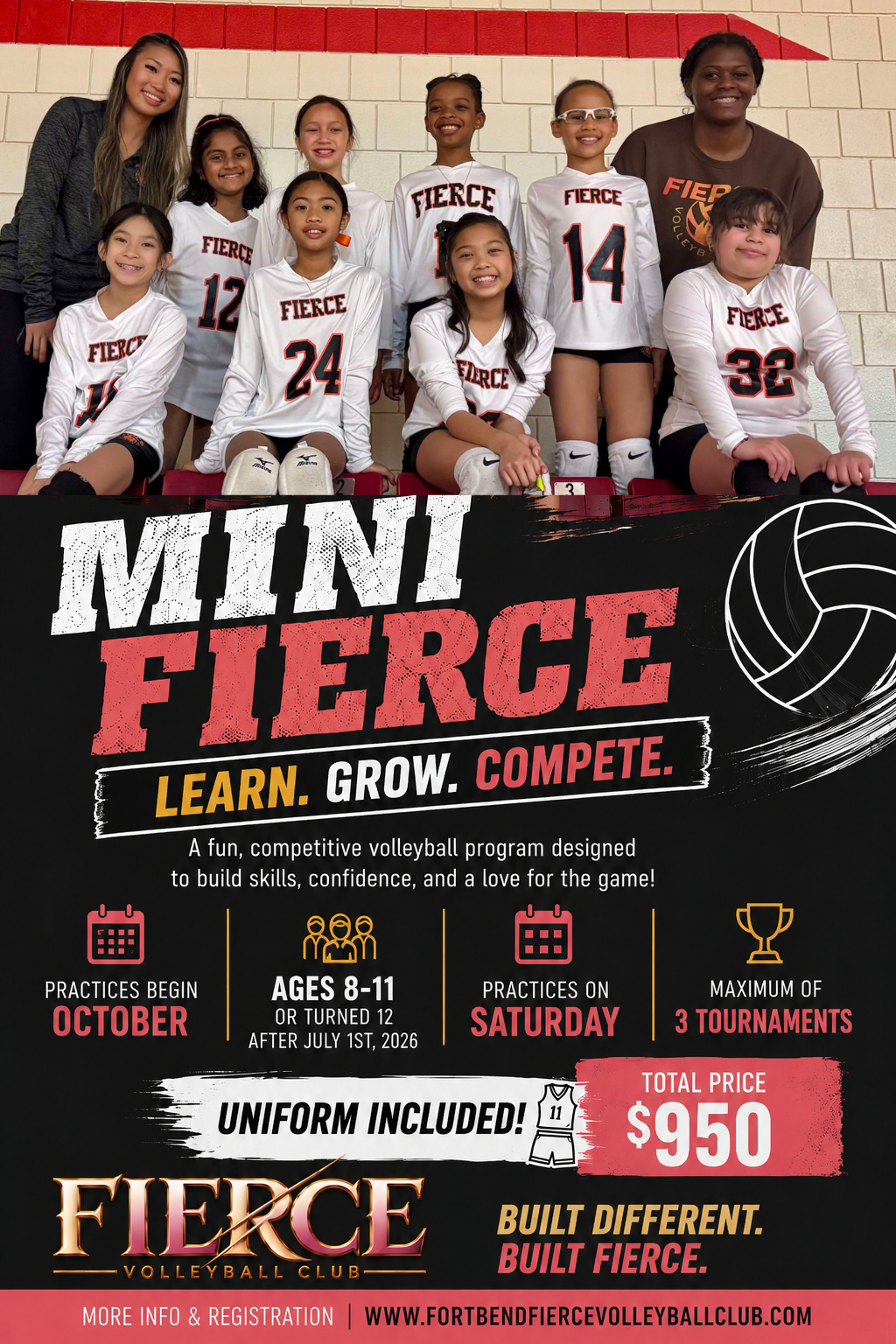 mini fierce correctflyer.png