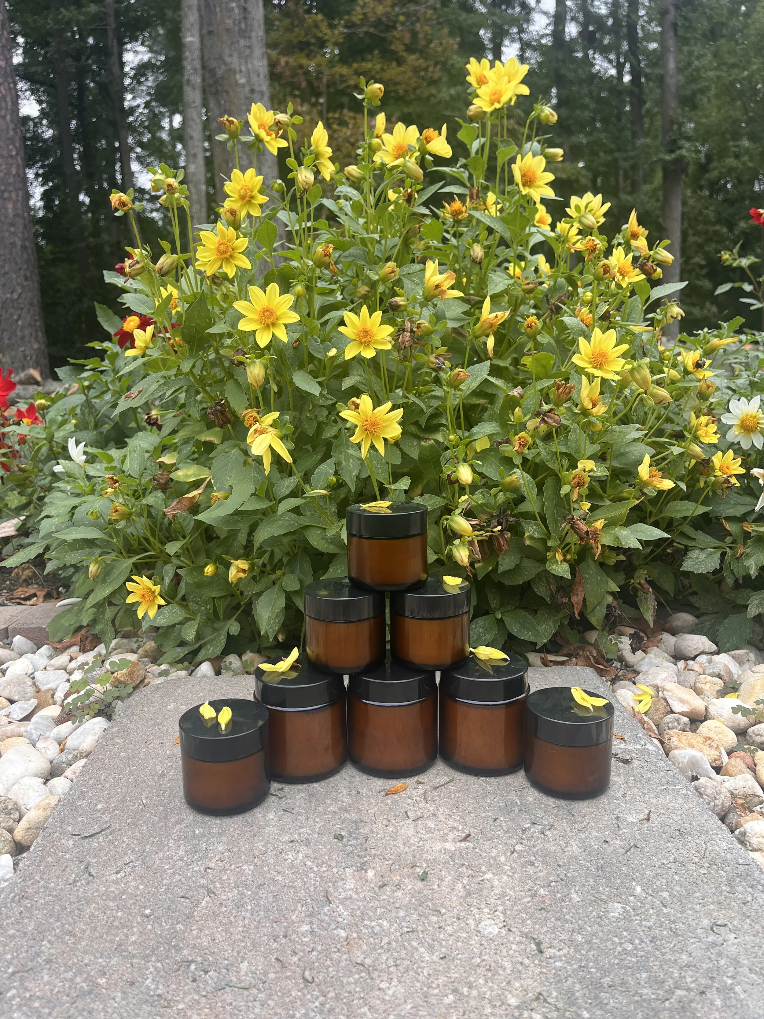 A large plant with yellow flowers behind a pyramid of brown jars with black lids on a gray concrete surface.