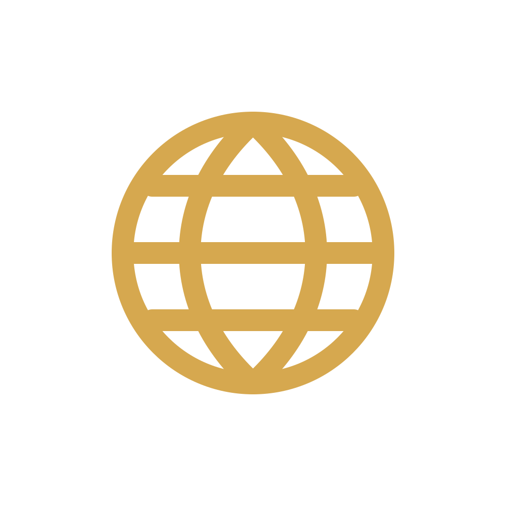 Gold globe icon with grid lines on a black background