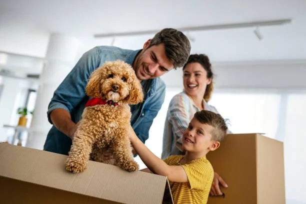 Pet Insurance