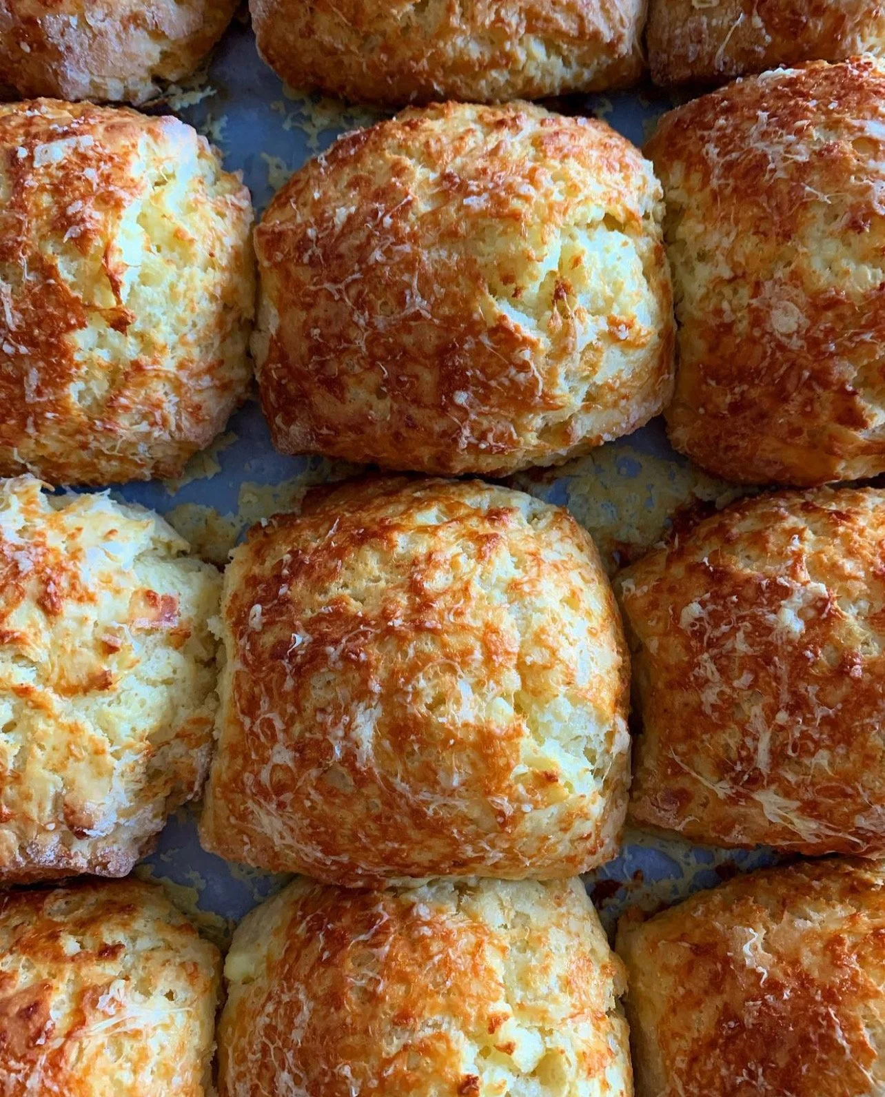 Recipe - Cheddar Scones
