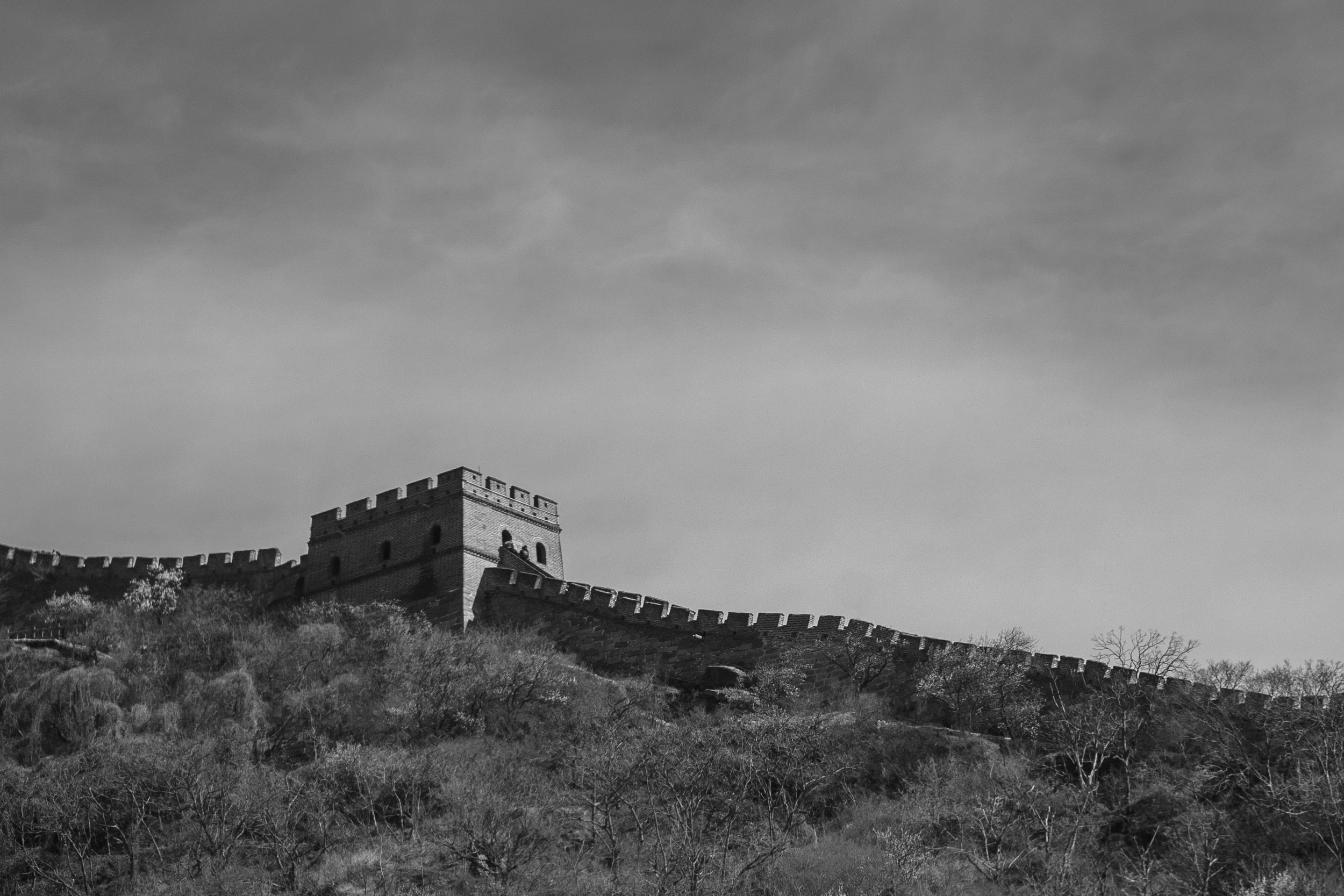 DSC_1076.jpg
