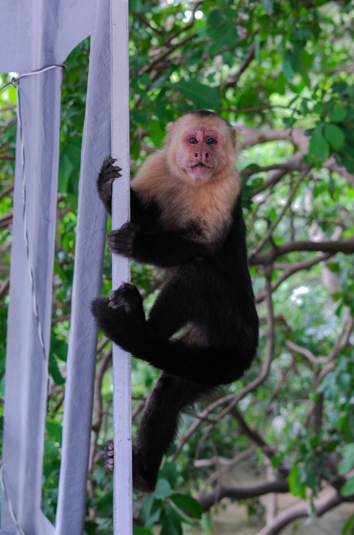 DSC_0713.jpg