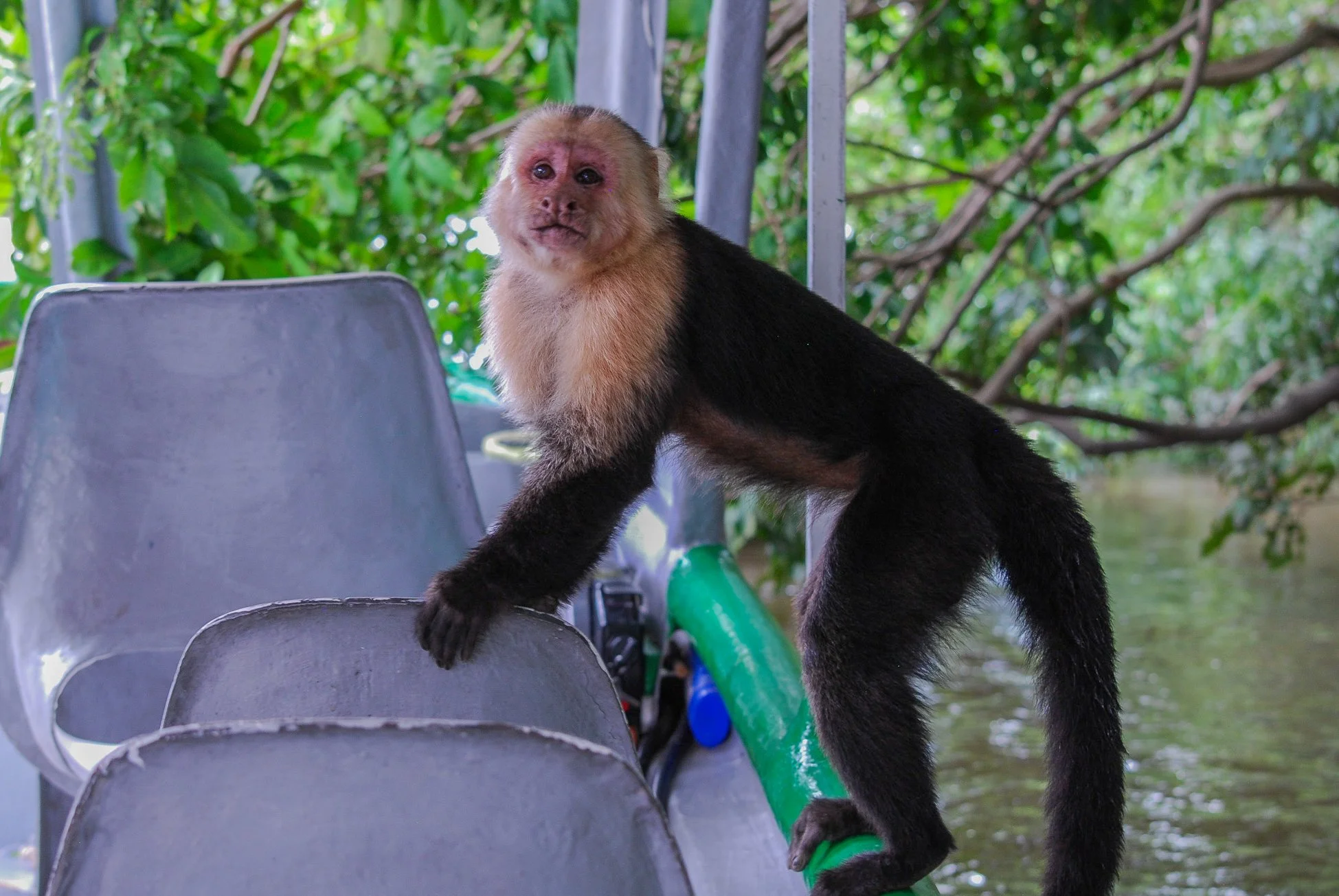 DSC_0715-2.jpg