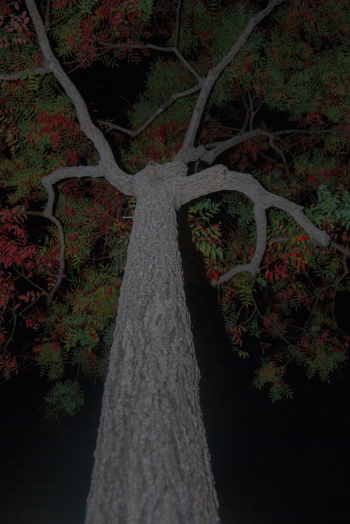 Screenshot+2025-02-23+212525.webp