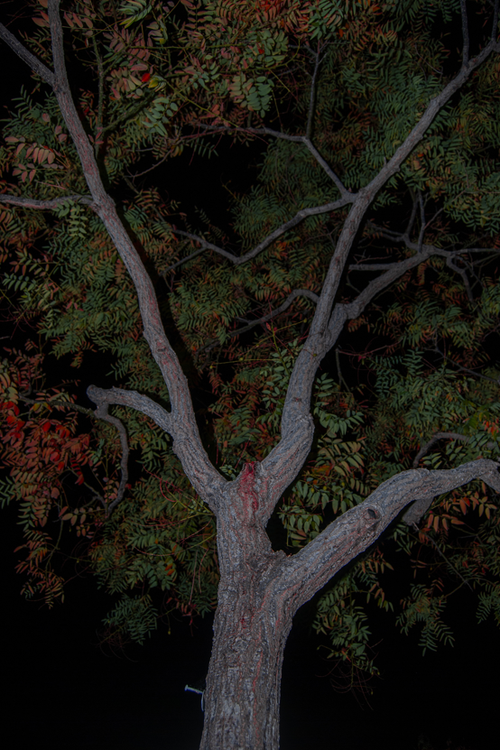Screenshot+2025-02-23+212548.webp