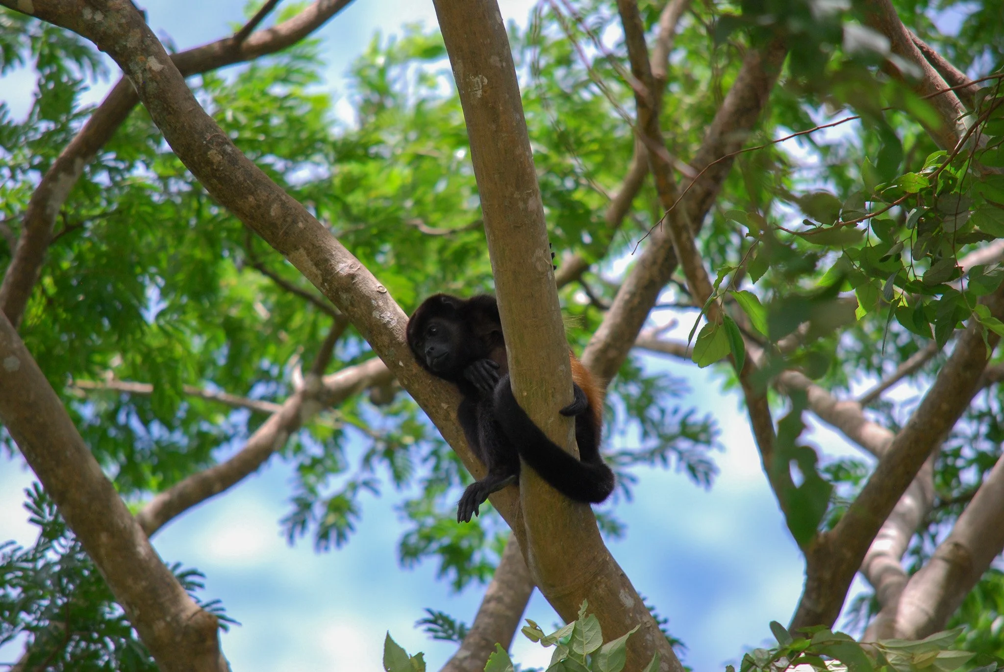 DSC_0760.jpg
