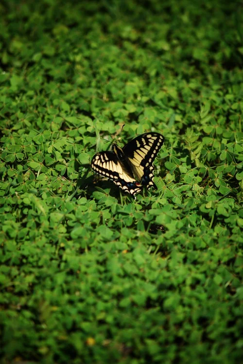 1000008191+(1).webp