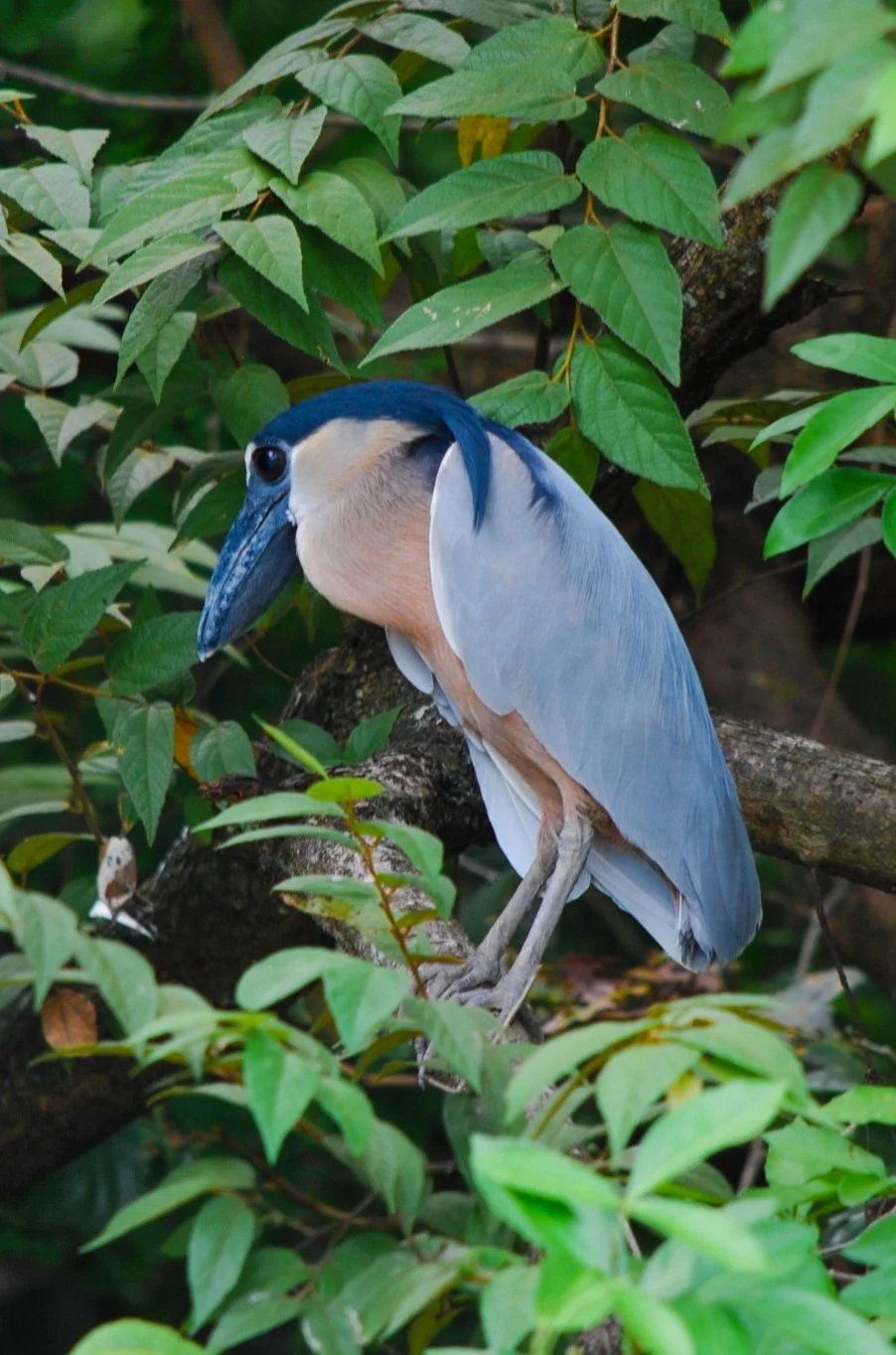 DSC_0770-2.jpg