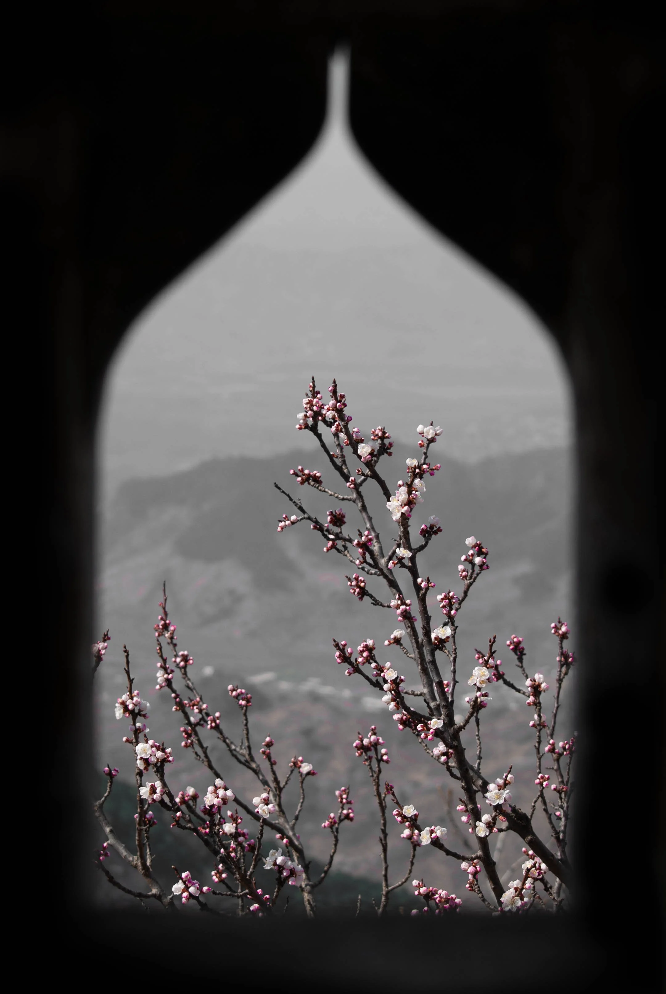 DSC_1119.jpg