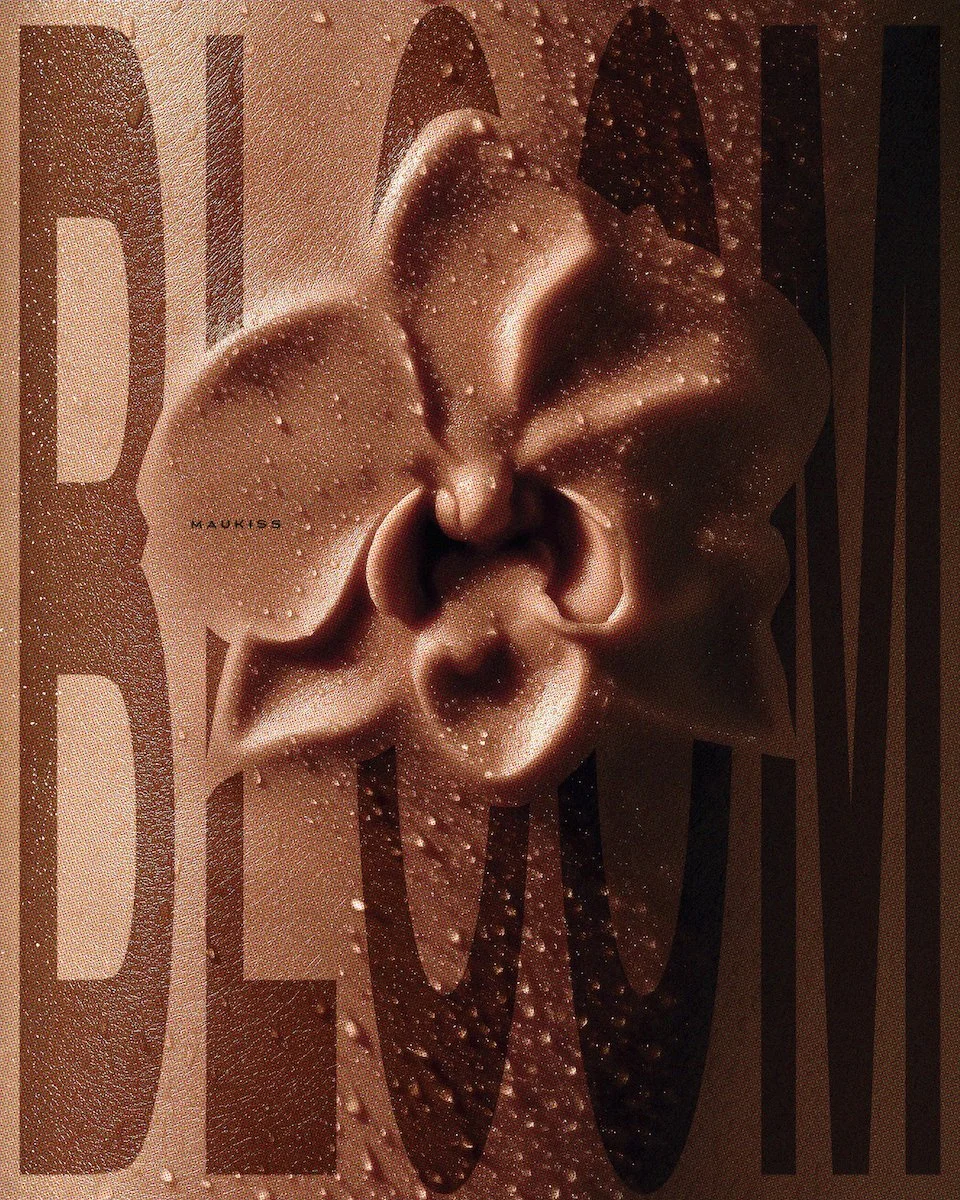 A book cover featuring a large, abstract, cream-colored flower with curves and shadows, overlaid on bold, black and brown text.