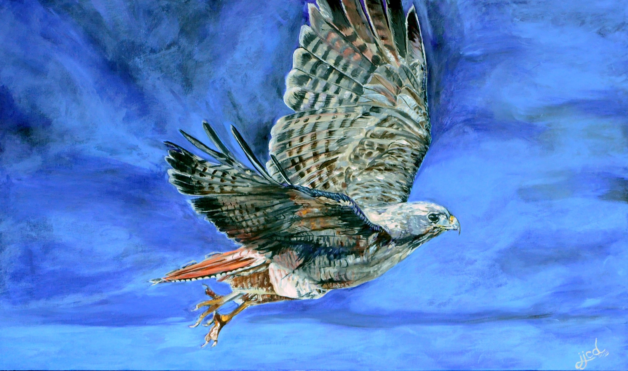In Flight, Red-Tailed Hawk  | 70″ x 40″ Acrylic on Canvas by Jeff Johns and Colin Daugherty | COMMISSIONED