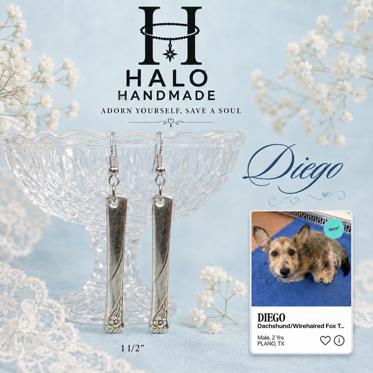 Diego Earrings 1 1/2"