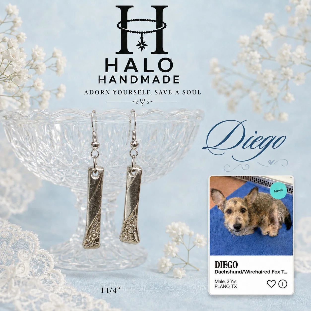 Diego Earrings 1 1/8"
