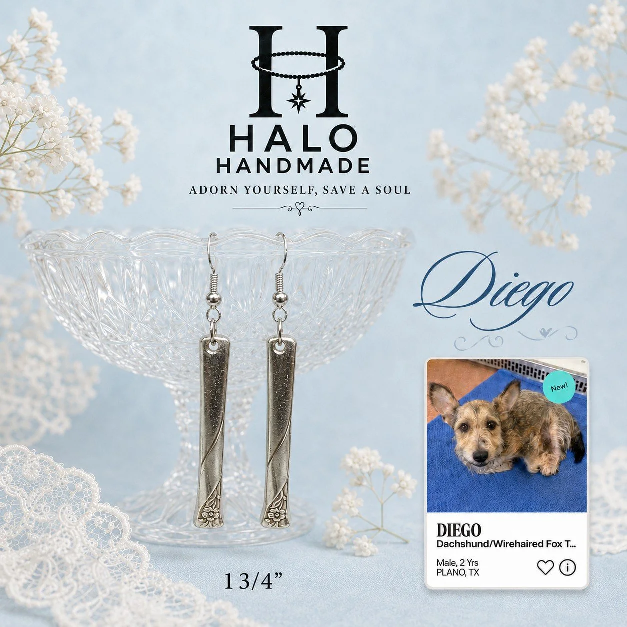 Diego Earrings 1 3/4"